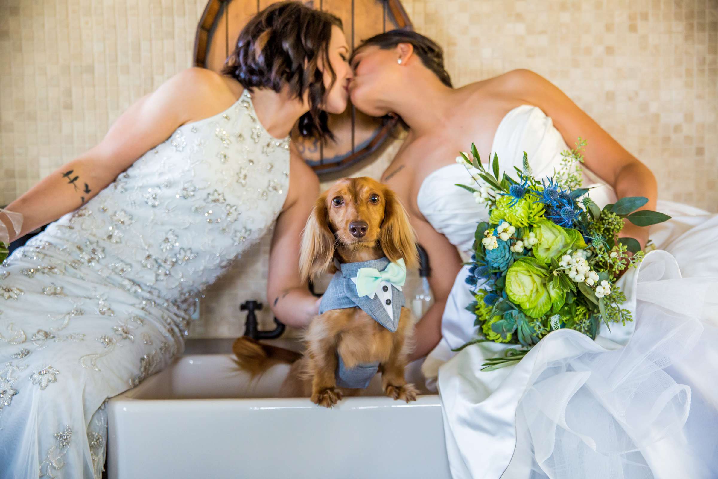 Funny moment, Pets at Peltzer Winery Wedding coordinated by Bliss Events, Lauren and Crystal Wedding Photo #419703 by True Photography