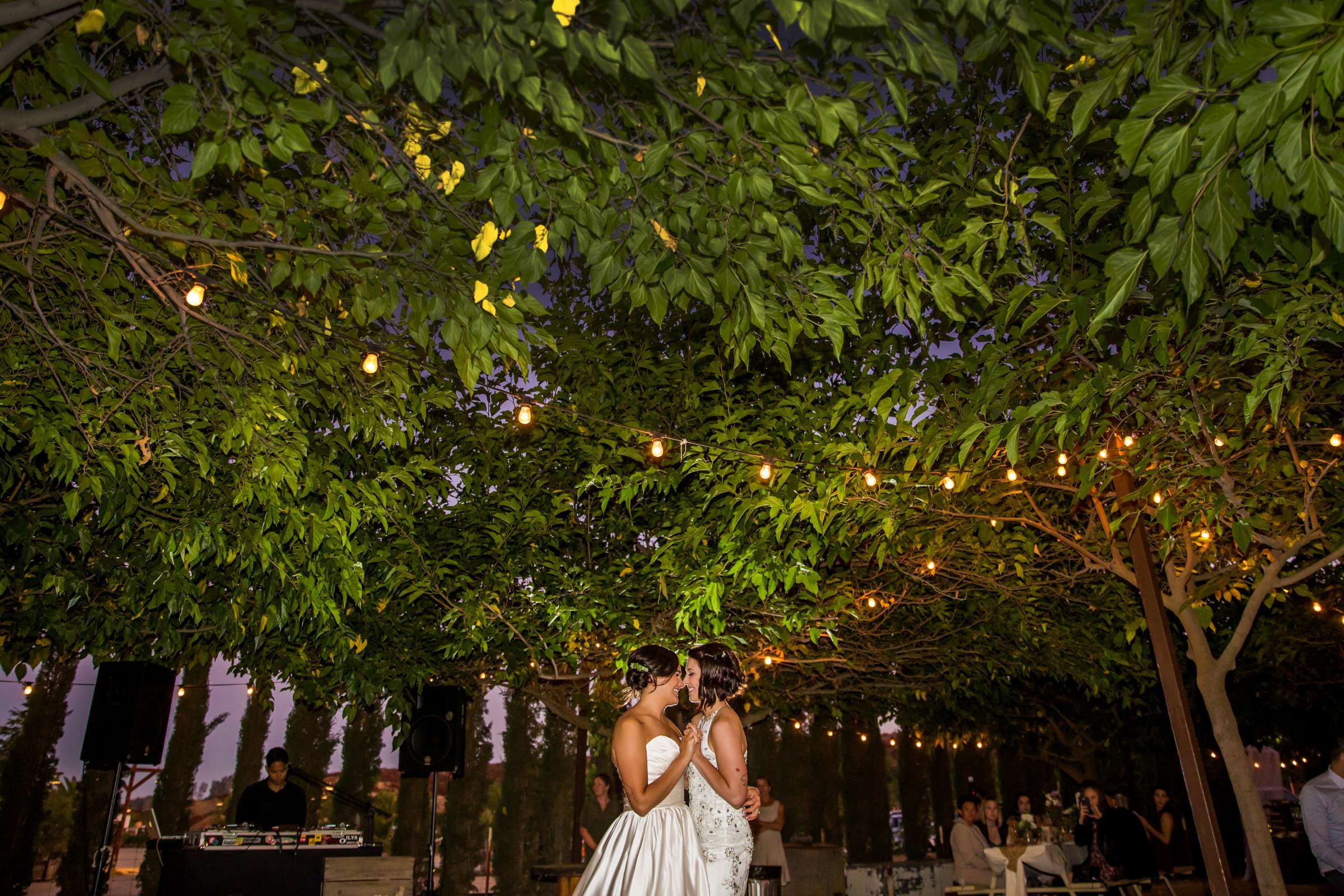Peltzer Winery Wedding coordinated by Bliss Events, Lauren and Crystal Wedding Photo #419814 by True Photography