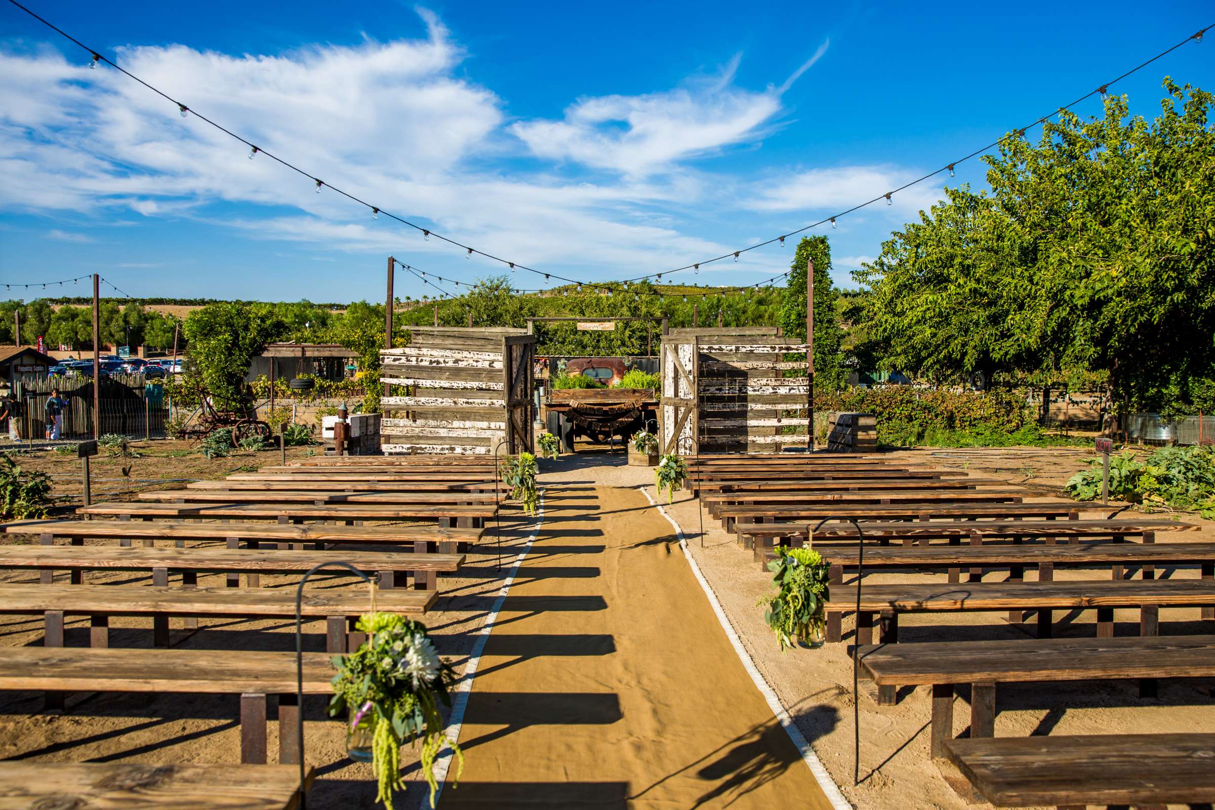 Peltzer Winery Wedding coordinated by Bliss Events, Lauren and Crystal Wedding Photo #419871 by True Photography