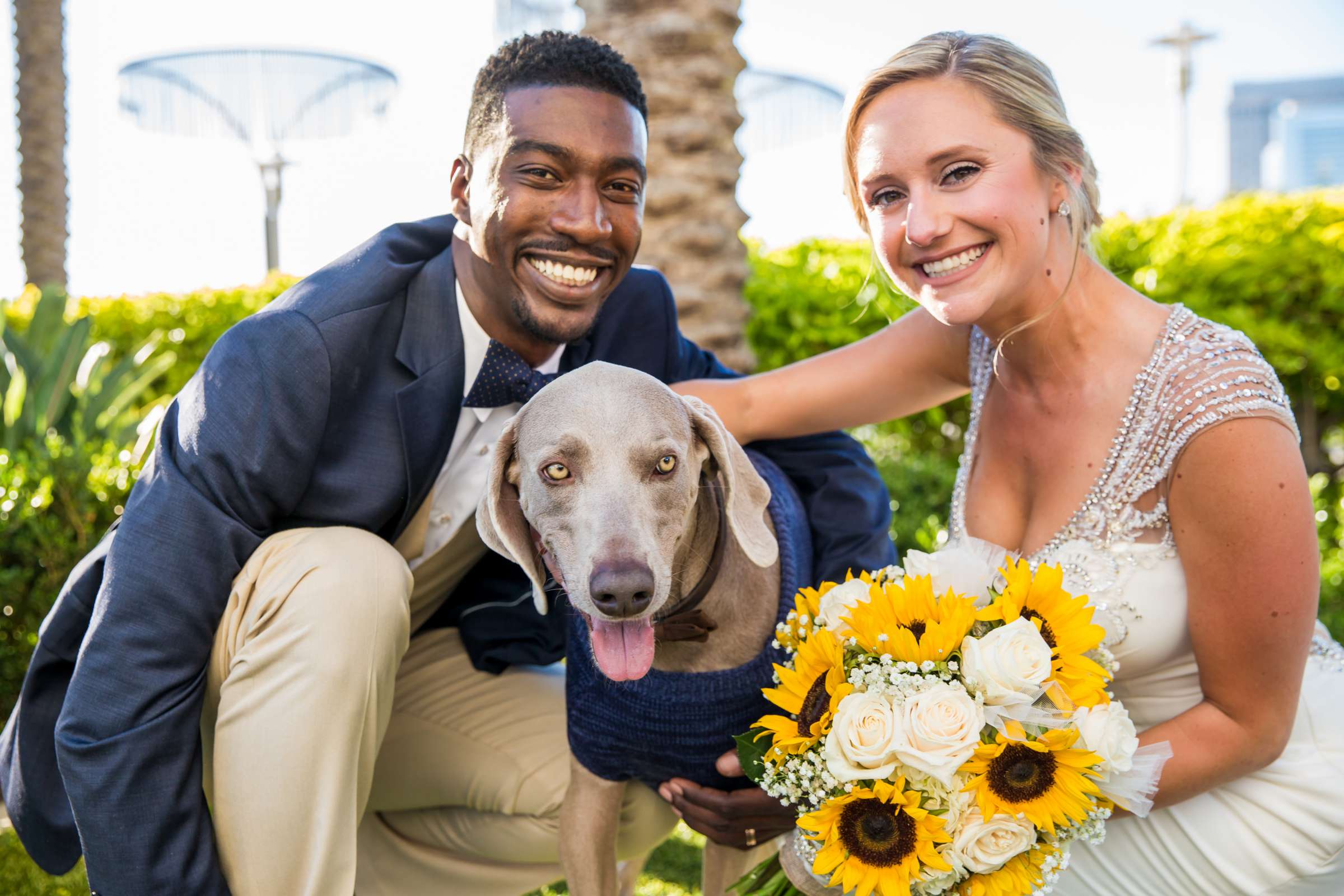 Hilton San Diego Bayfront Wedding, Brittney and Christopher Wedding Photo #28 by True Photography