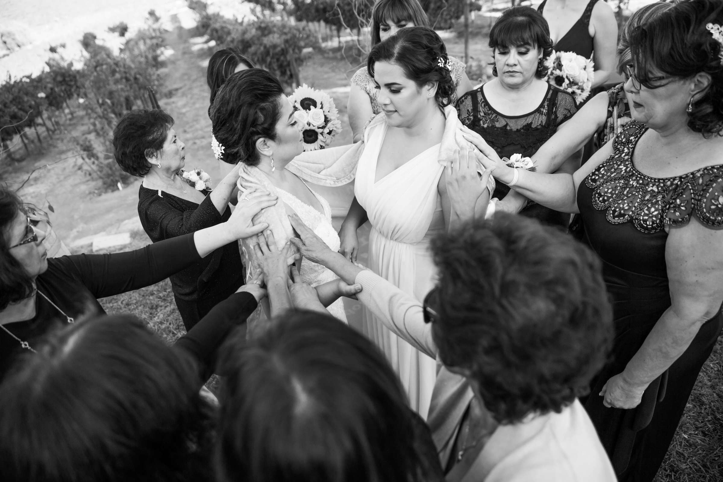 Orfila Vineyards Wedding coordinated by Always Flawless Productions, Vanessa and Barbara Wedding Photo #39 by True Photography