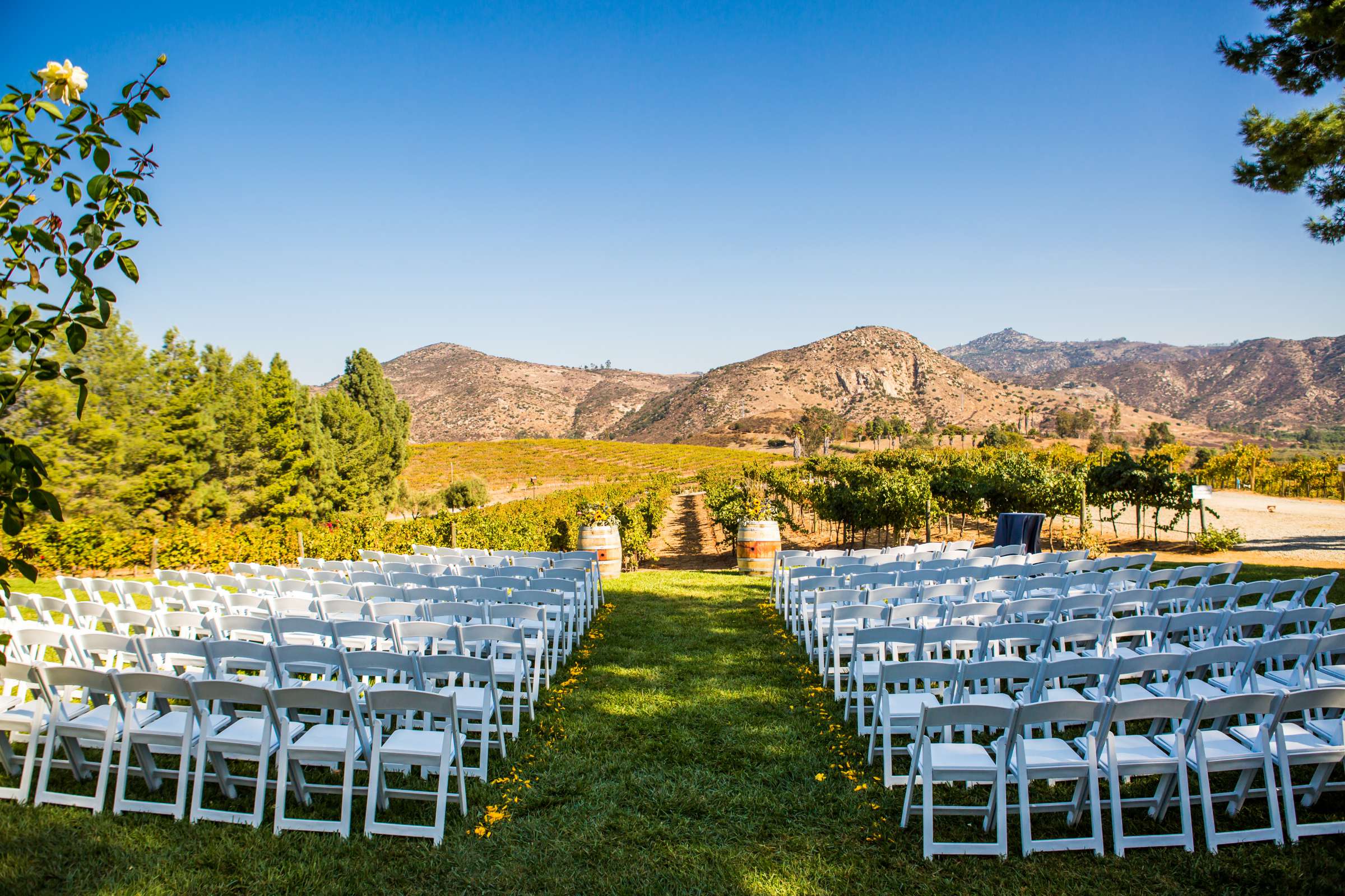 Orfila Vineyards Wedding coordinated by Always Flawless Productions, Vanessa and Barbara Wedding Photo #131 by True Photography