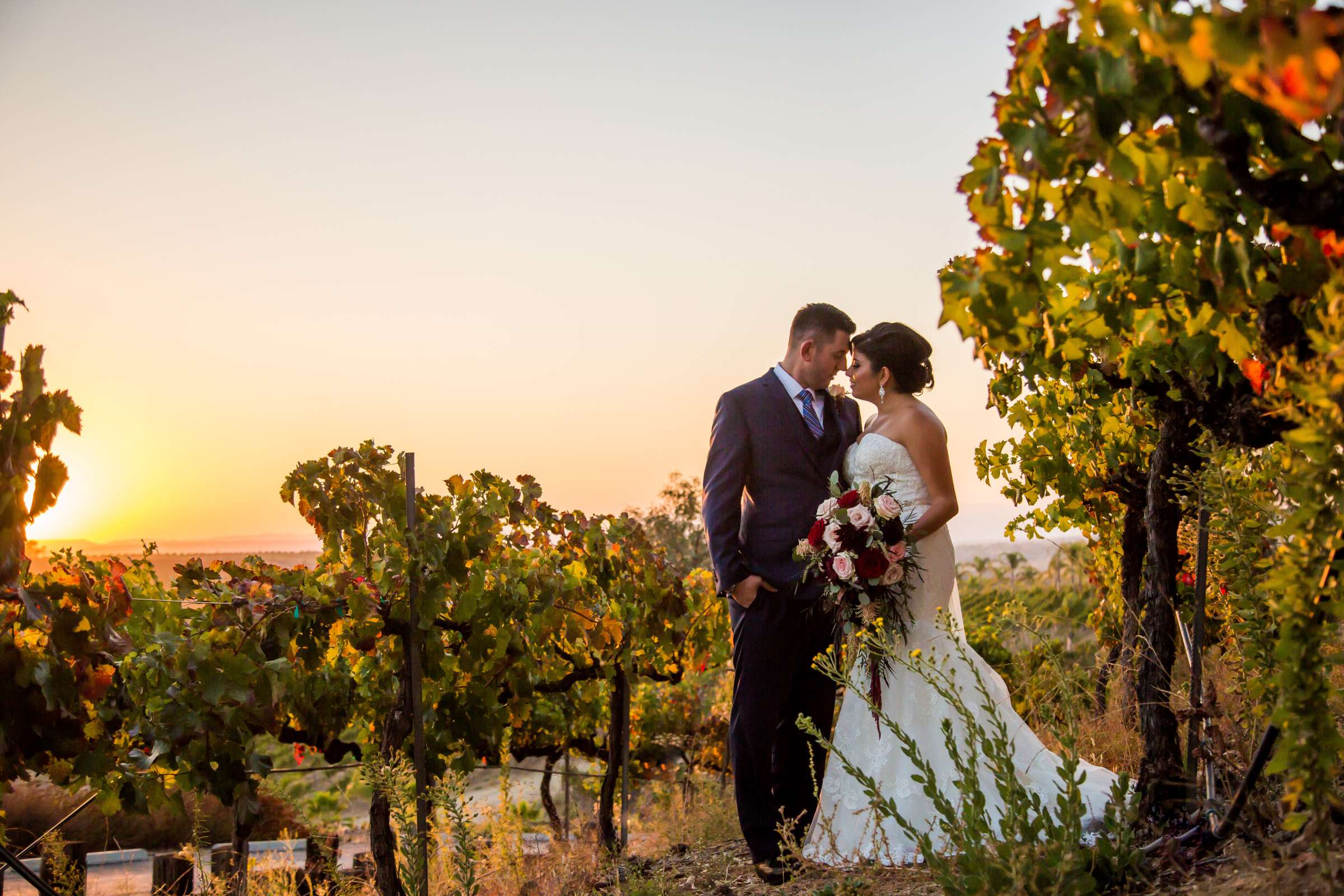 Falkner Winery Wedding, Roxana and Cameron Wedding Photo #427353 by True Photography