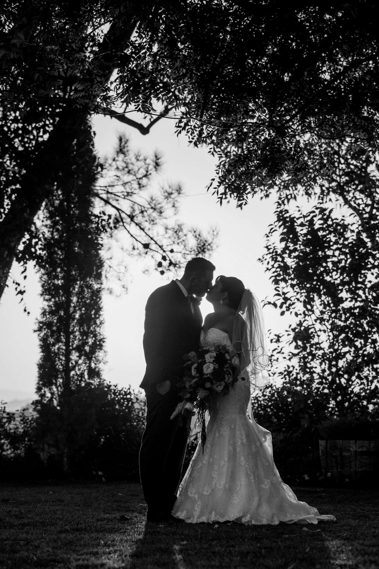 Falkner Winery Wedding, Roxana and Cameron Wedding Photo #427365 by True Photography