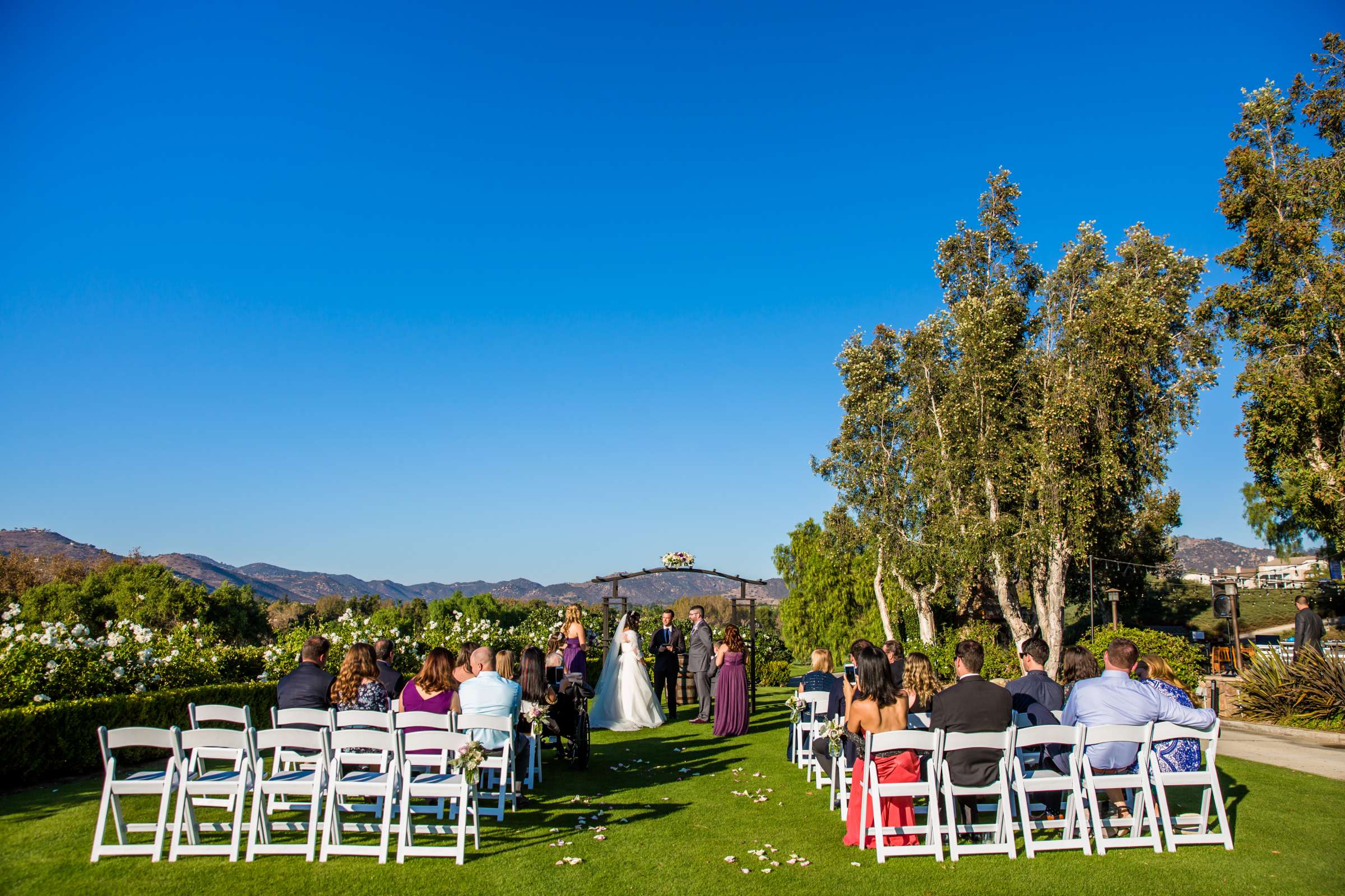 Twin Oaks Golf Course Wedding, Alexandra and Derek Wedding Photo #432413 by True Photography