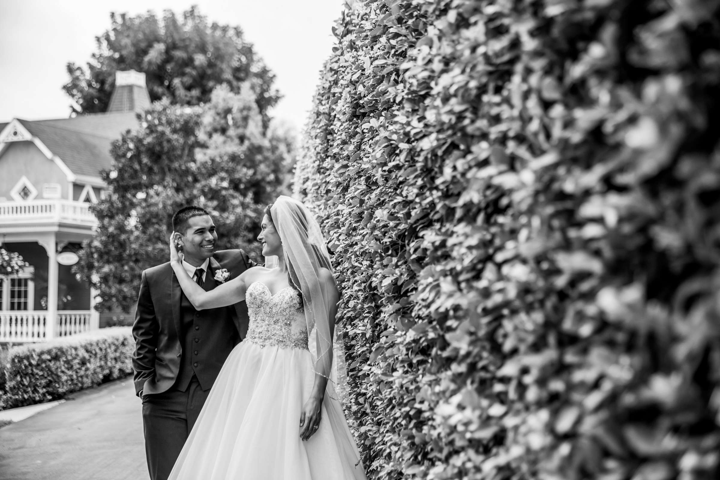 Grand Tradition Estate Wedding, Erin Nicole and Gilbert Wedding Photo #434110 by True Photography