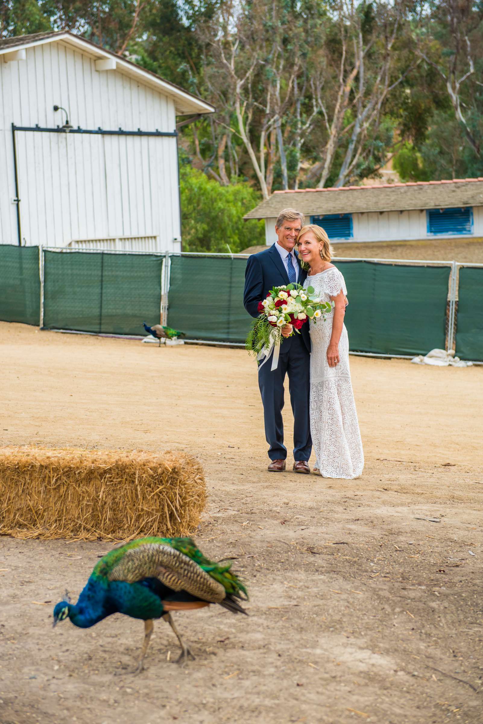 Leo Carrillo Ranch Wedding, Donna and Dirk Wedding Photo #435300 by True Photography