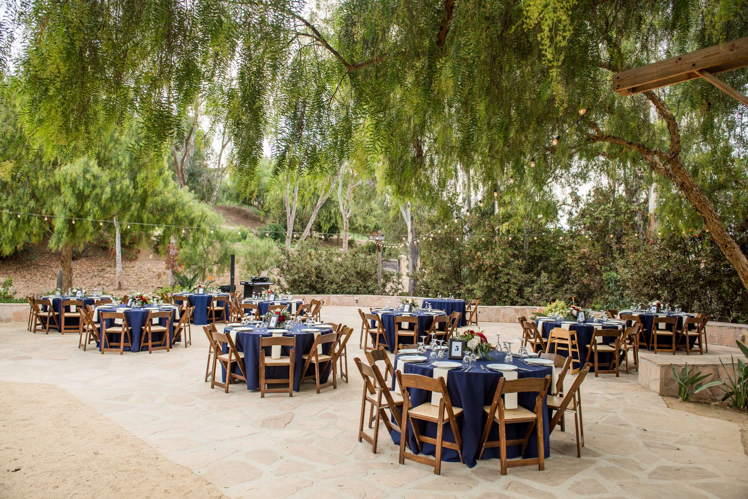 Leo Carrillo Ranch Wedding, Donna and Dirk Wedding Photo #435344 by True Photography