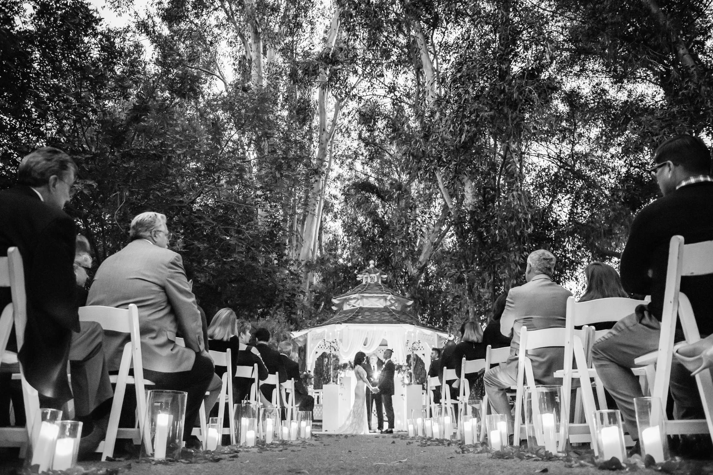 Twin Oaks House & Gardens Wedding Estate Wedding, Annie and Jeremiah Wedding Photo #57 by True Photography