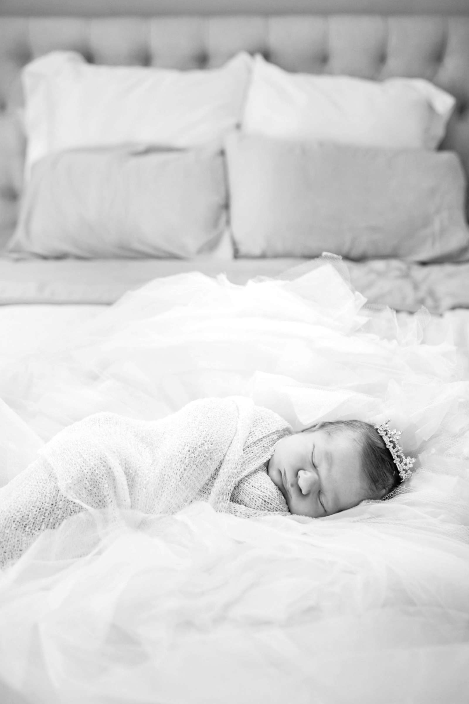 Private Residence Newborn Photo Session, Michelle and Ahmad Newborn Photo #436163 by True Photography