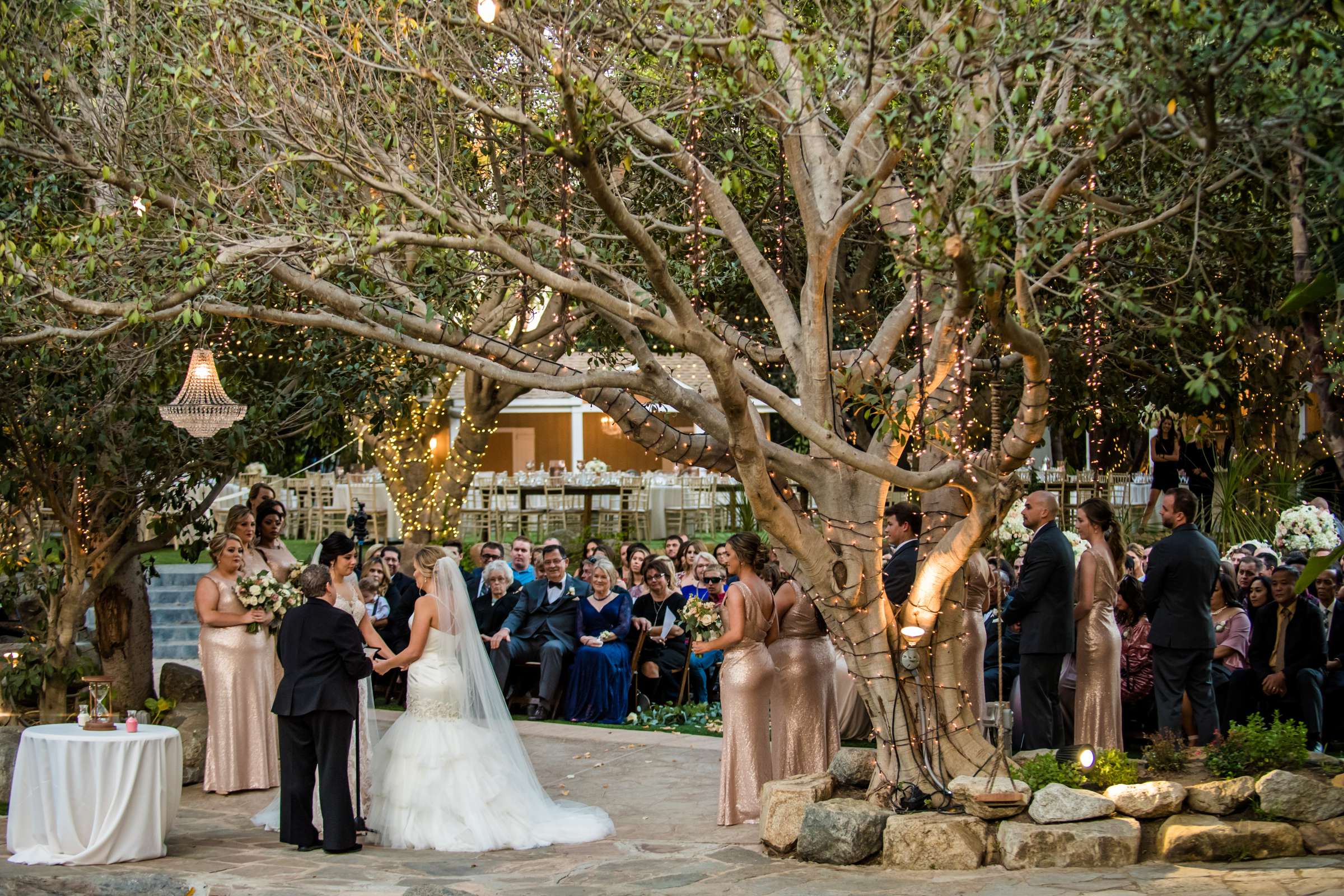 Botanica the Venue Wedding coordinated by Sweet Blossom Weddings, Carlie and Lauren Wedding Photo #436931 by True Photography