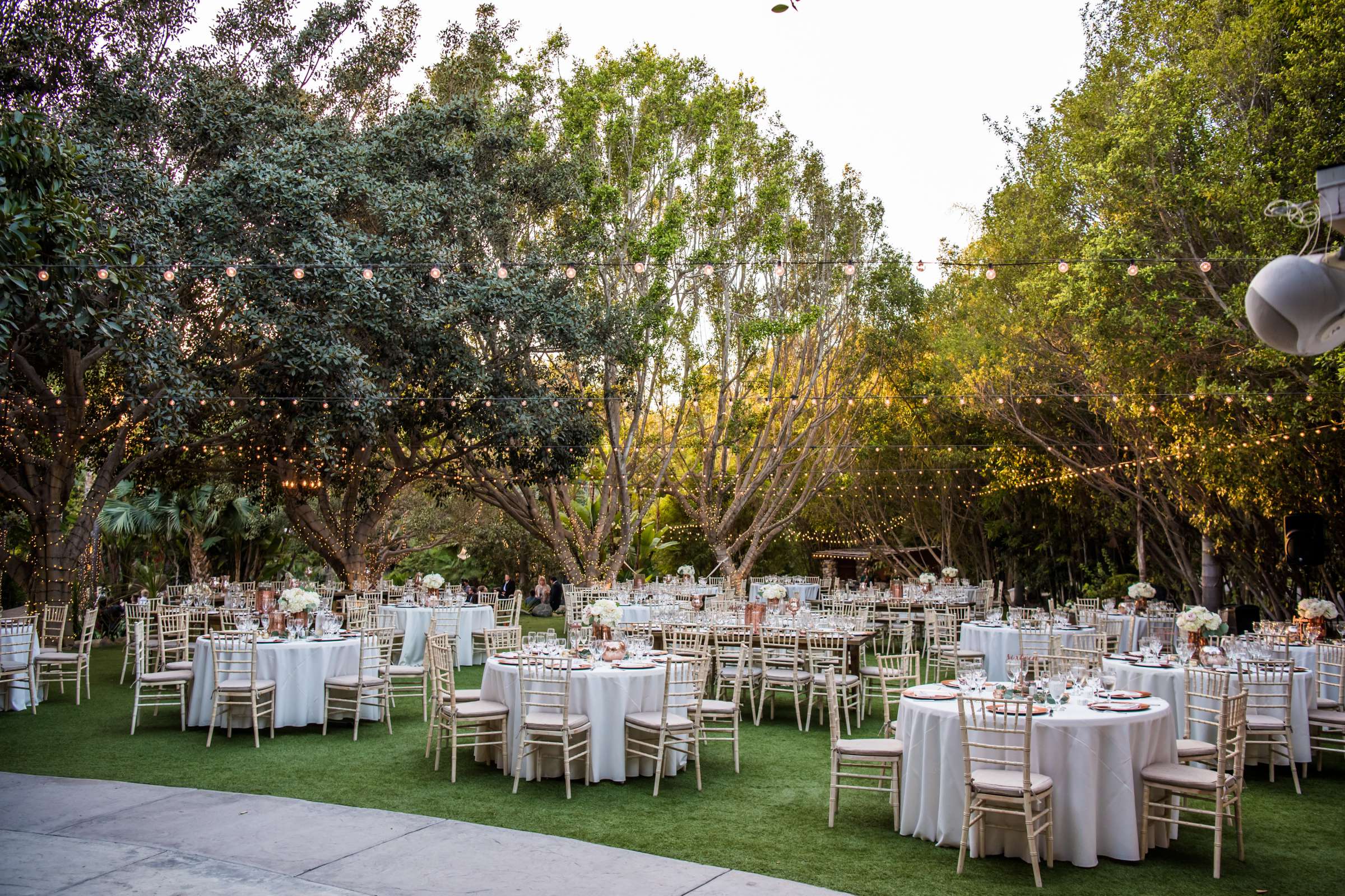 Botanica the Venue Wedding coordinated by Sweet Blossom Weddings, Carlie and Lauren Wedding Photo #437038 by True Photography