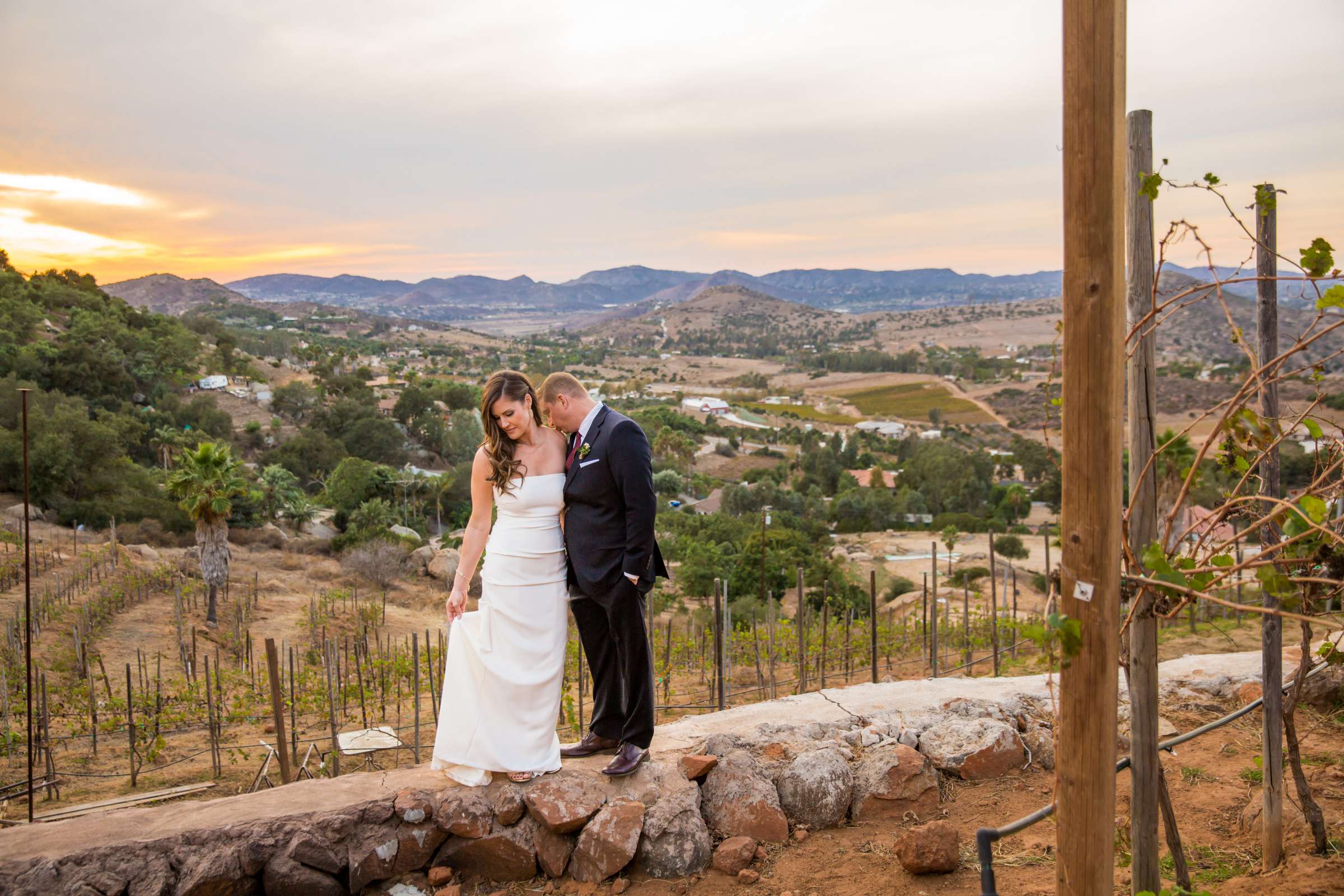 Cordiano Winery Wedding coordinated by Sisti & Co, Lyndsay and Neal Wedding Photo #1 by True Photography