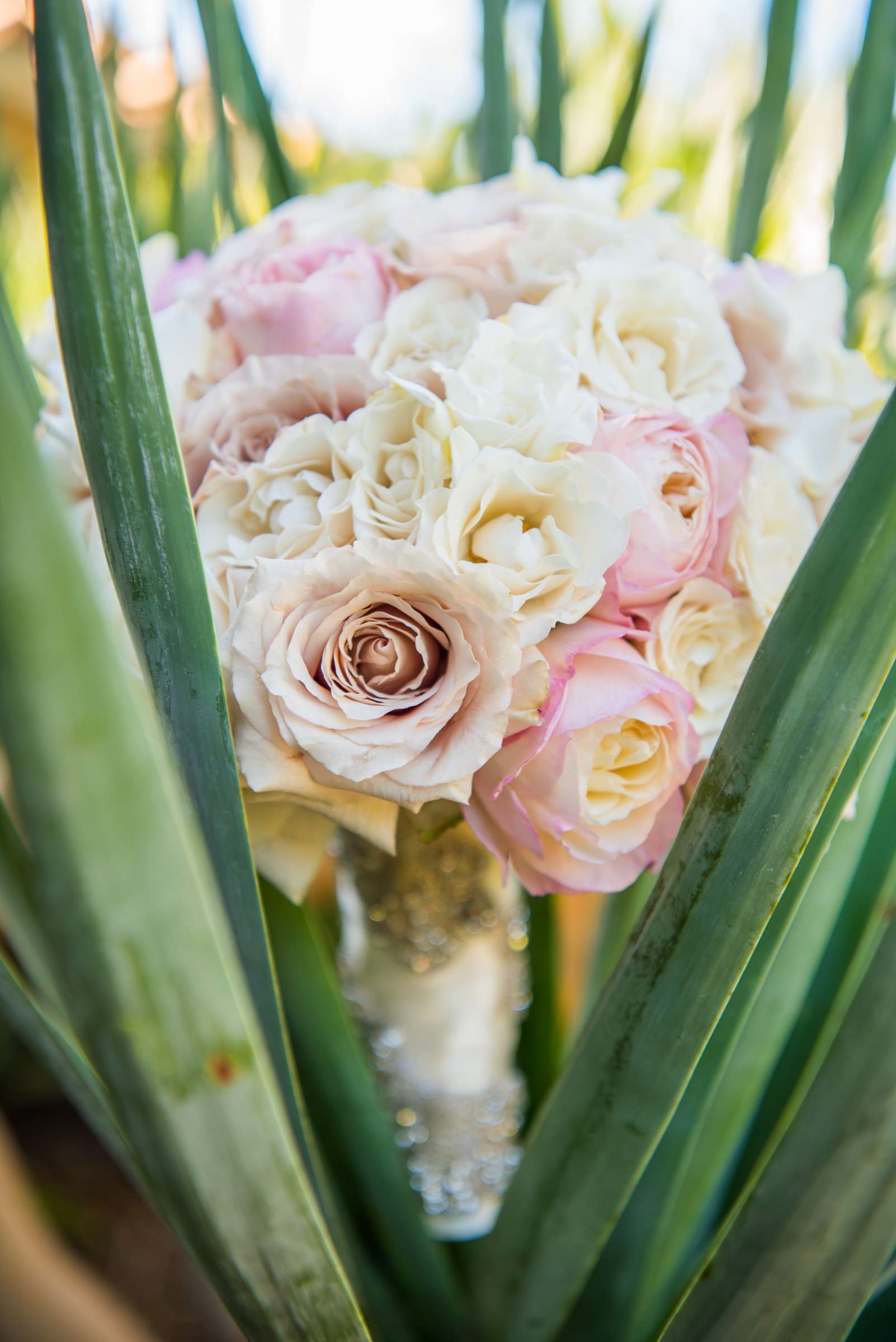 Rancho Valencia Wedding coordinated by Bliss Events, Tris and Matt Wedding Photo #439330 by True Photography