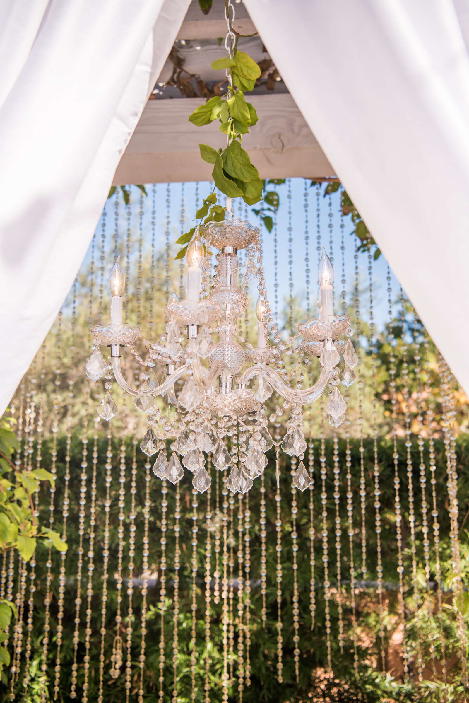 Rancho Valencia Wedding coordinated by Bliss Events, Tris and Matt Wedding Photo #439368 by True Photography