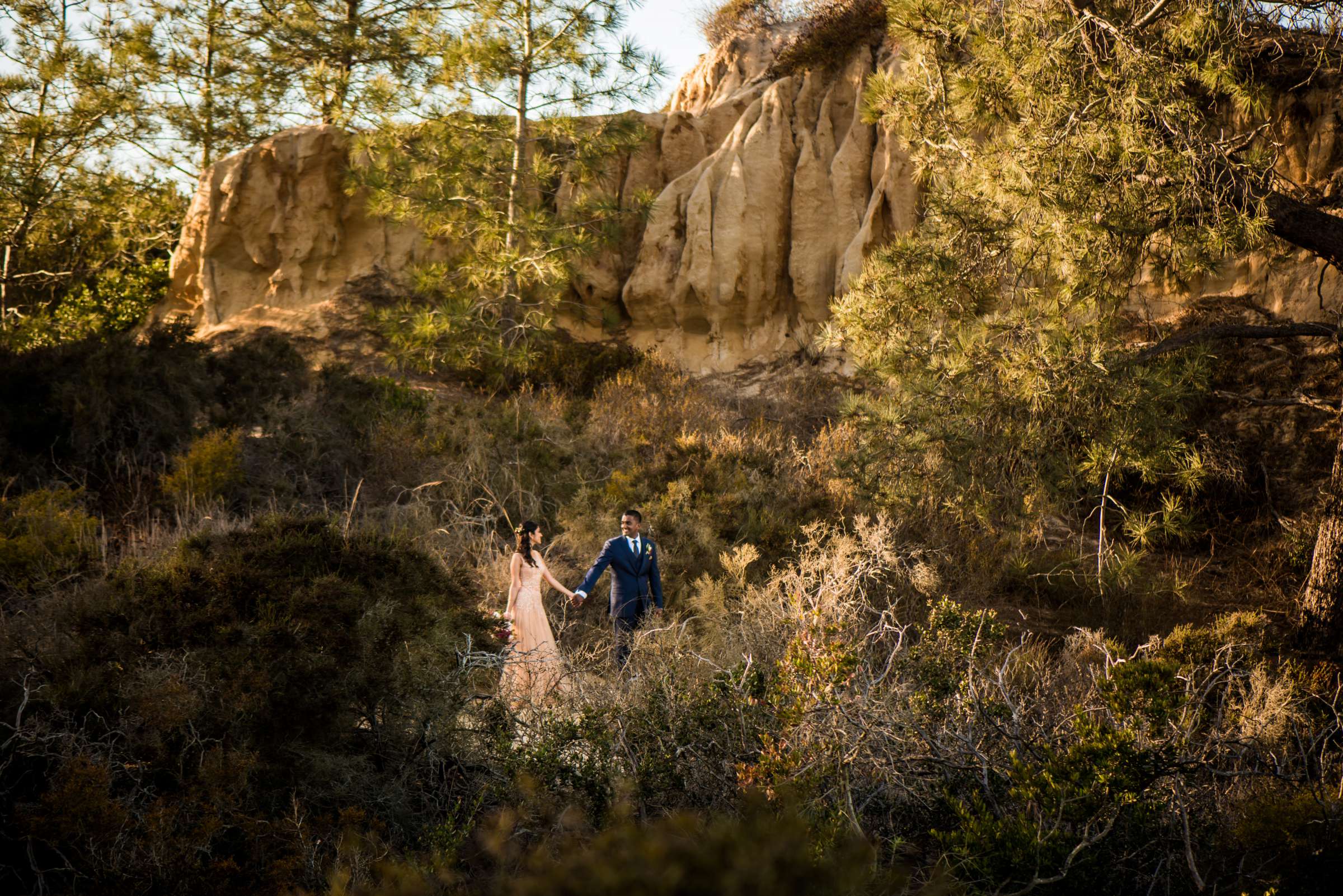 Torrey Pines State Natural Reserve Wedding, Natasha and Jake Wedding Photo #440696 by True Photography