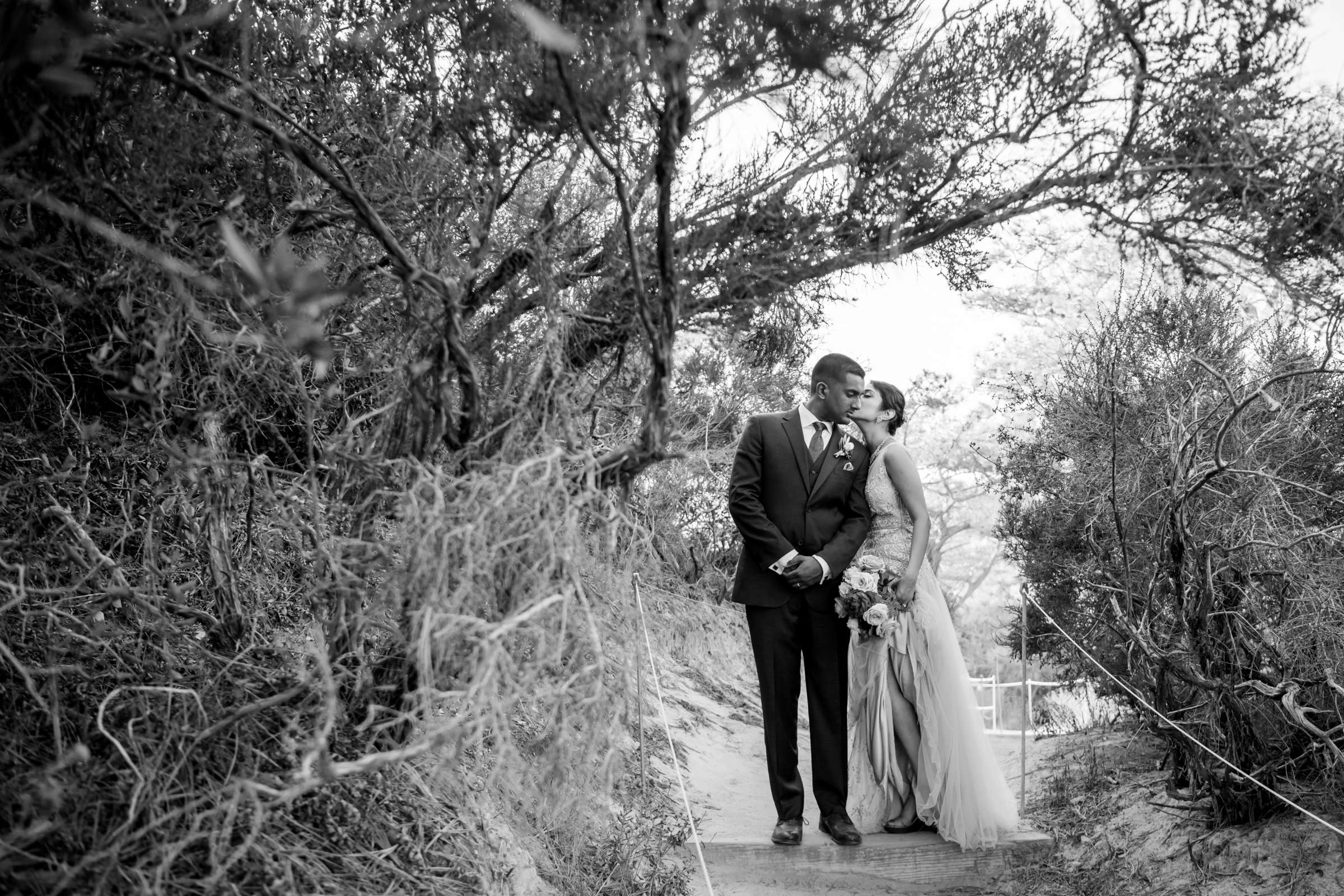 Torrey Pines State Natural Reserve Wedding, Natasha and Jake Wedding Photo #440764 by True Photography