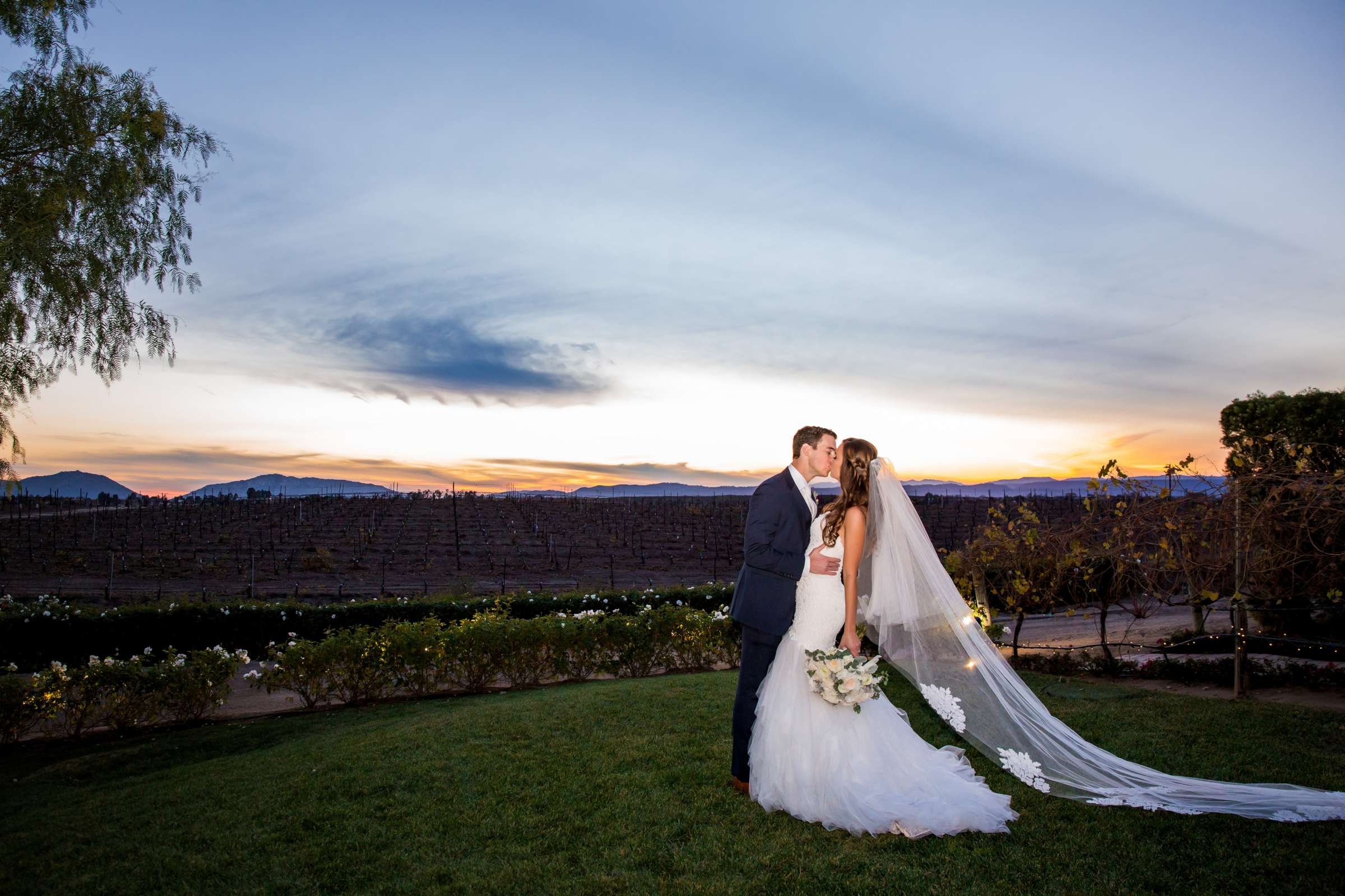 Villa de Amore Wedding, Alexandra and Kyle Wedding Photo #2 by True Photography