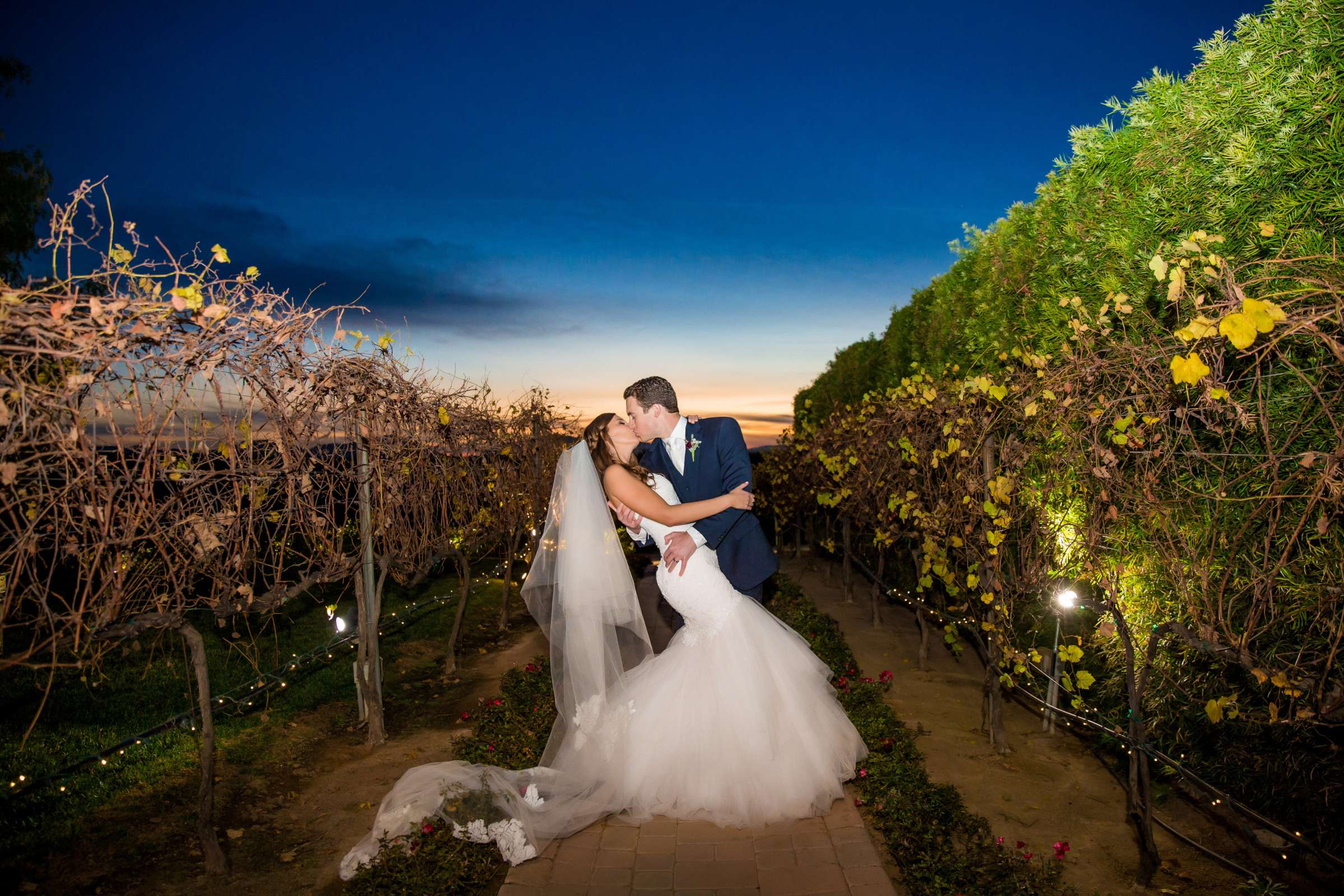 Villa de Amore Wedding, Alexandra and Kyle Wedding Photo #22 by True Photography