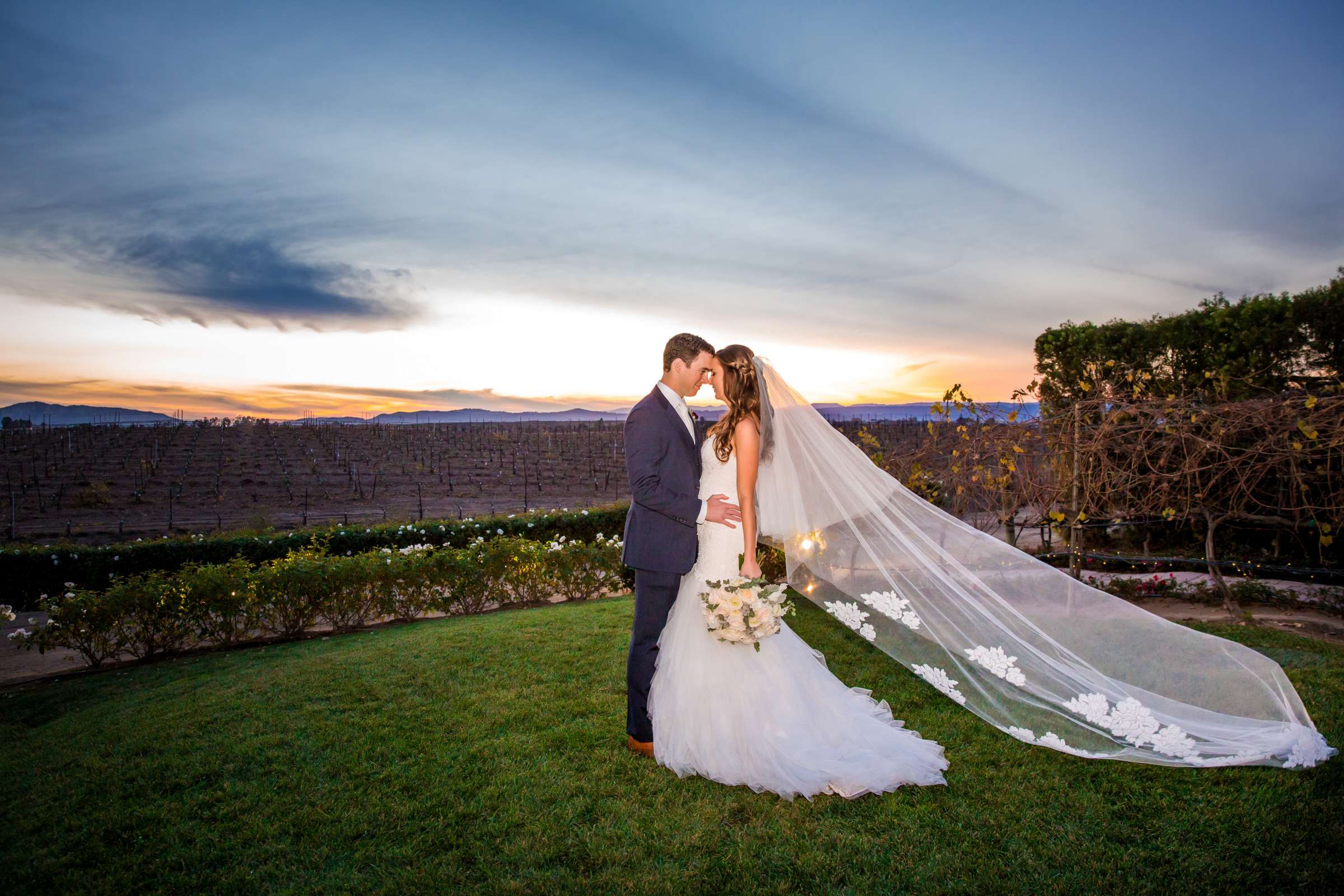 Villa de Amore Wedding, Alexandra and Kyle Wedding Photo #84 by True Photography