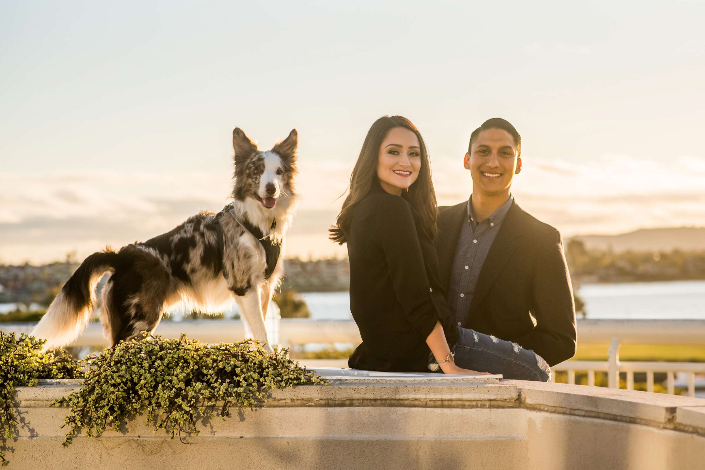 Pets at Engagement, Deann and Oscar Engagement Photo #1 by True Photography