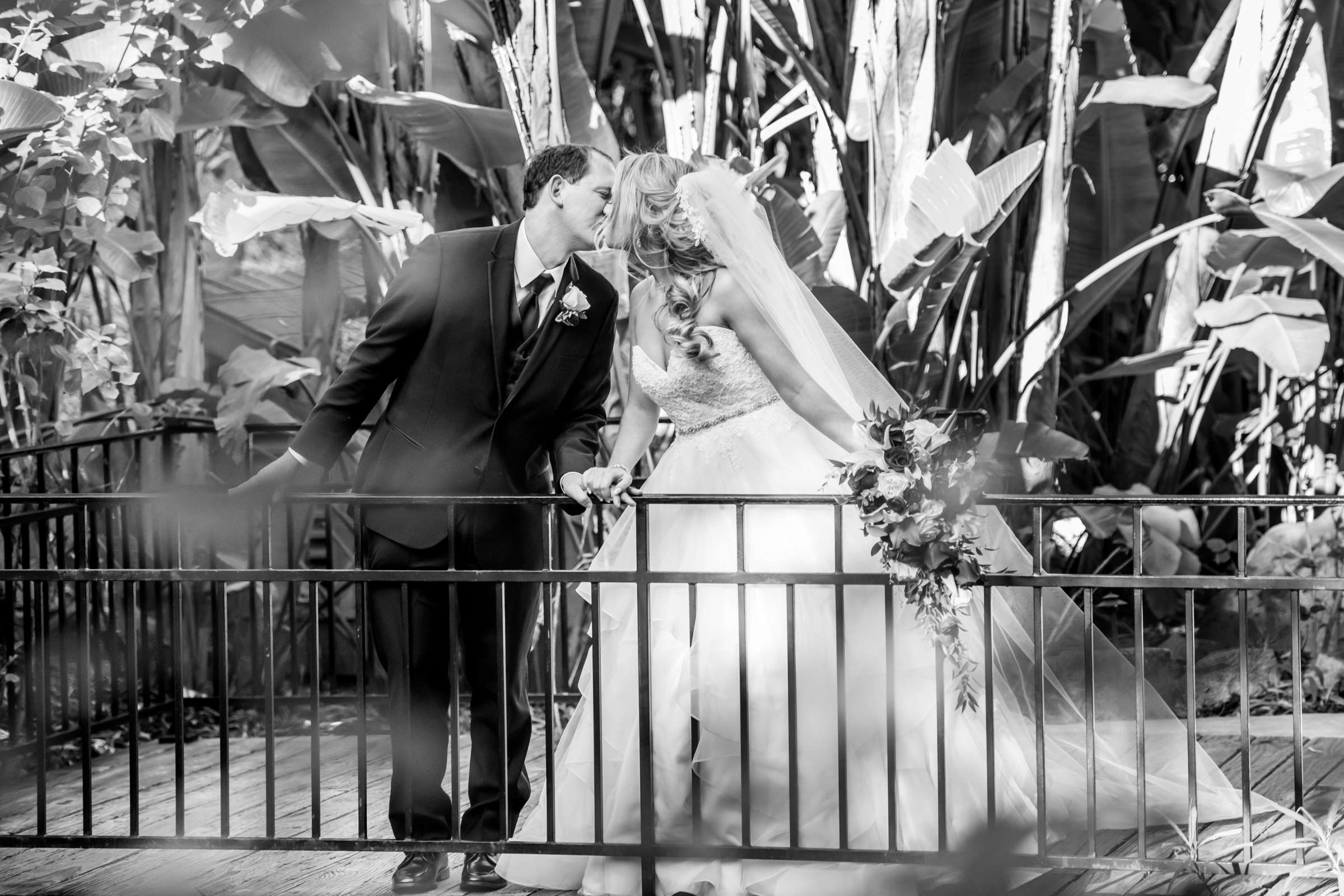 Grand Tradition Estate Wedding, Rachel and Jonathan Wedding Photo #20 by True Photography