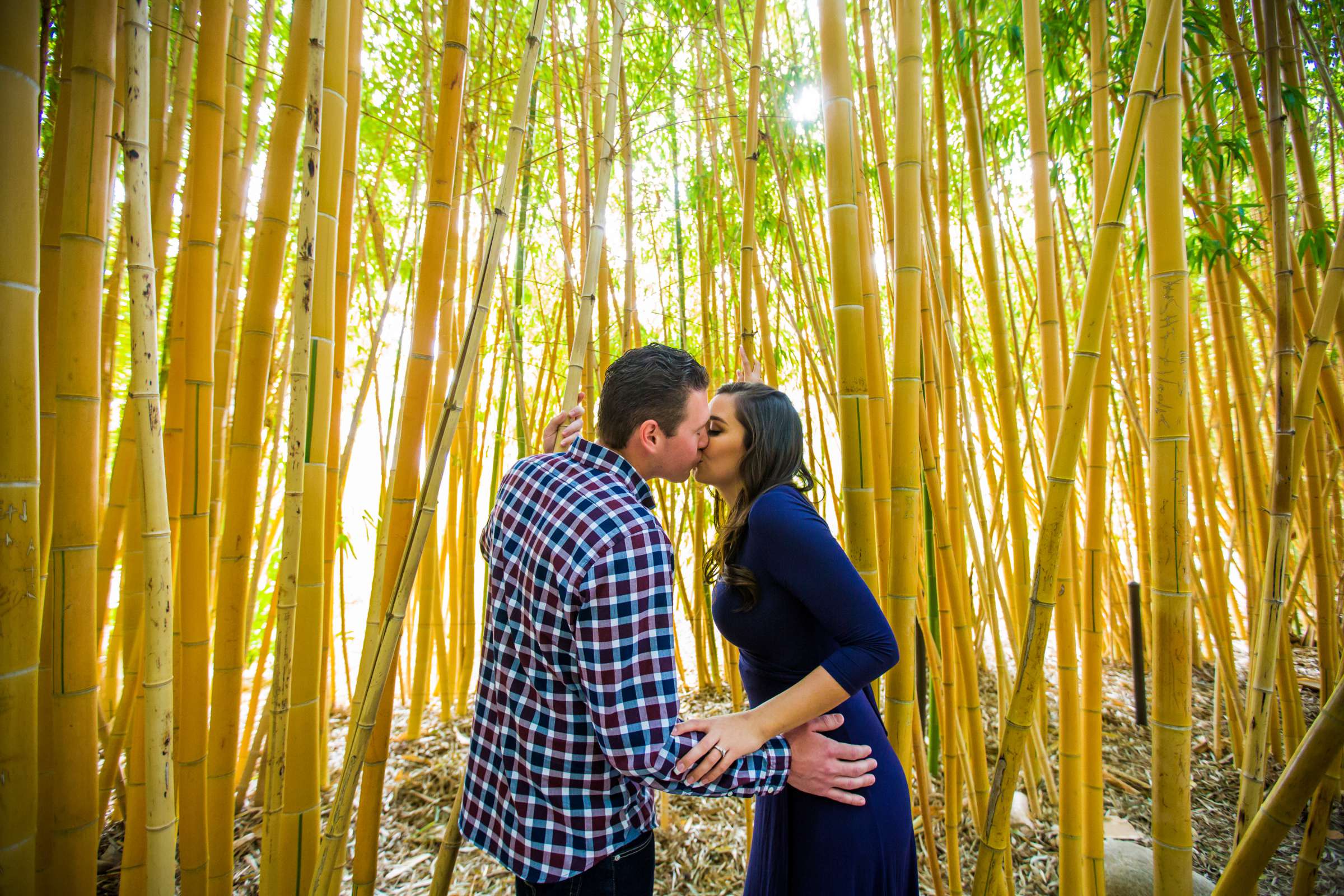 Engagement, Sarah and Zach Engagement Photo #449330 by True Photography