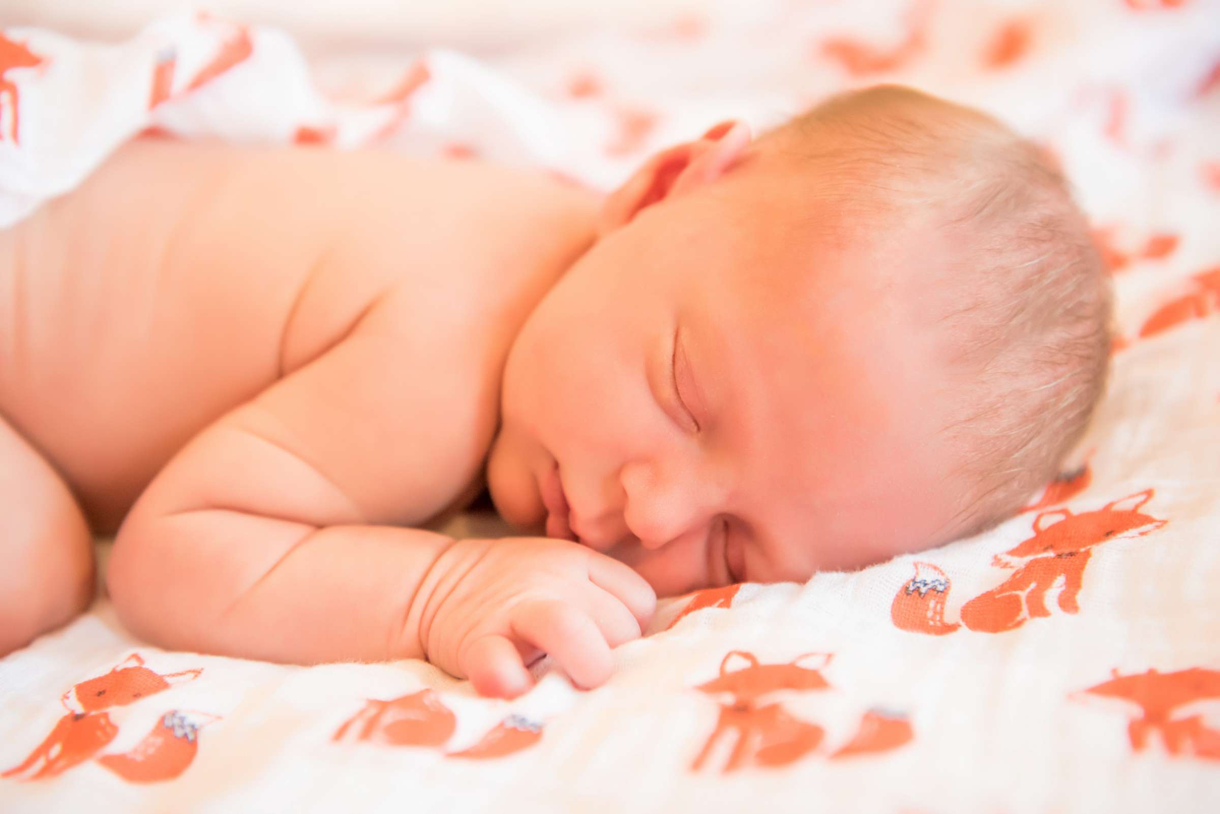 Newborn Photo Session, Adrienne and Noah Newborn Photo #25 by True Photography