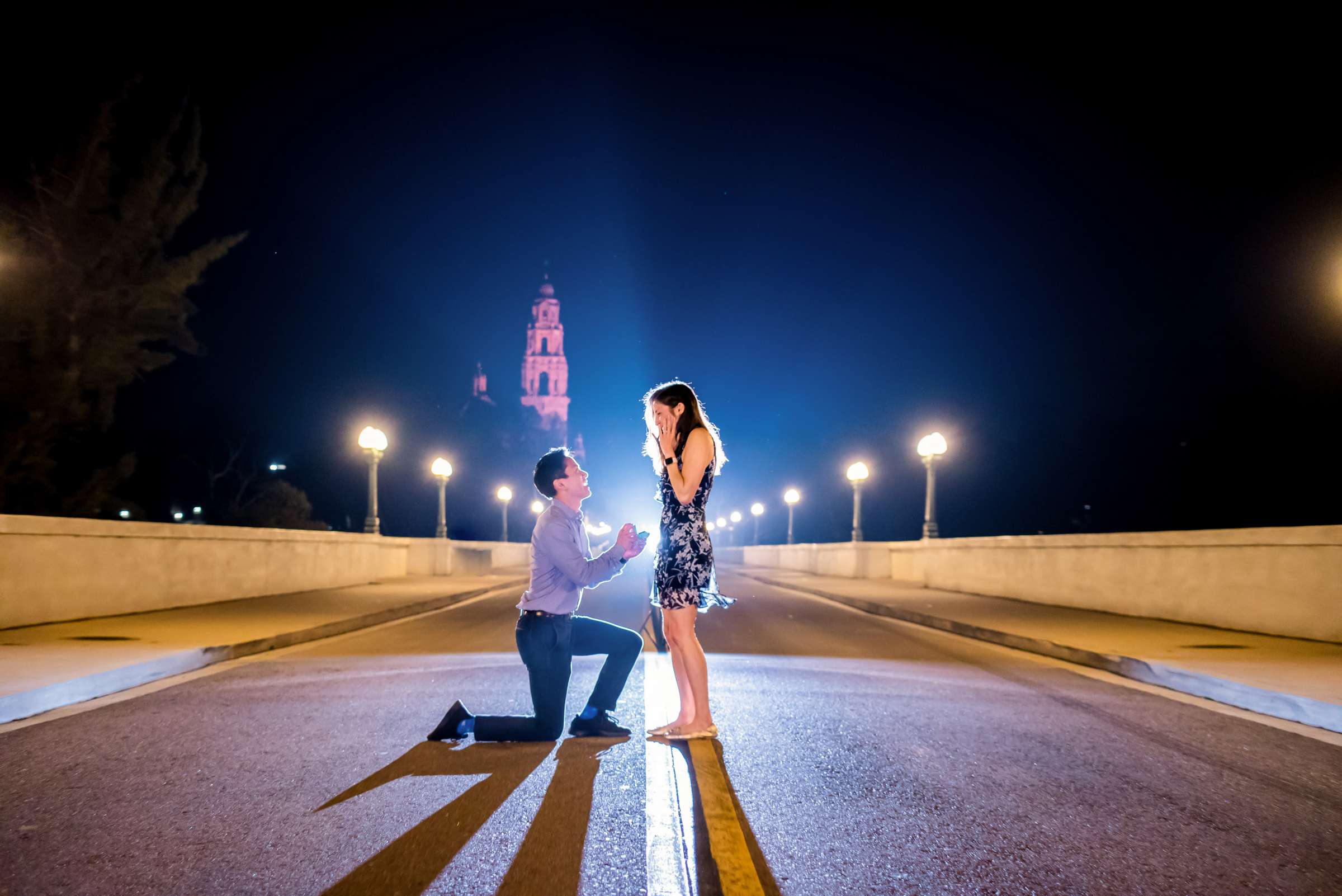 Engagement, Justin and Leslie Proposal Engagement Photo #455366 by True Photography