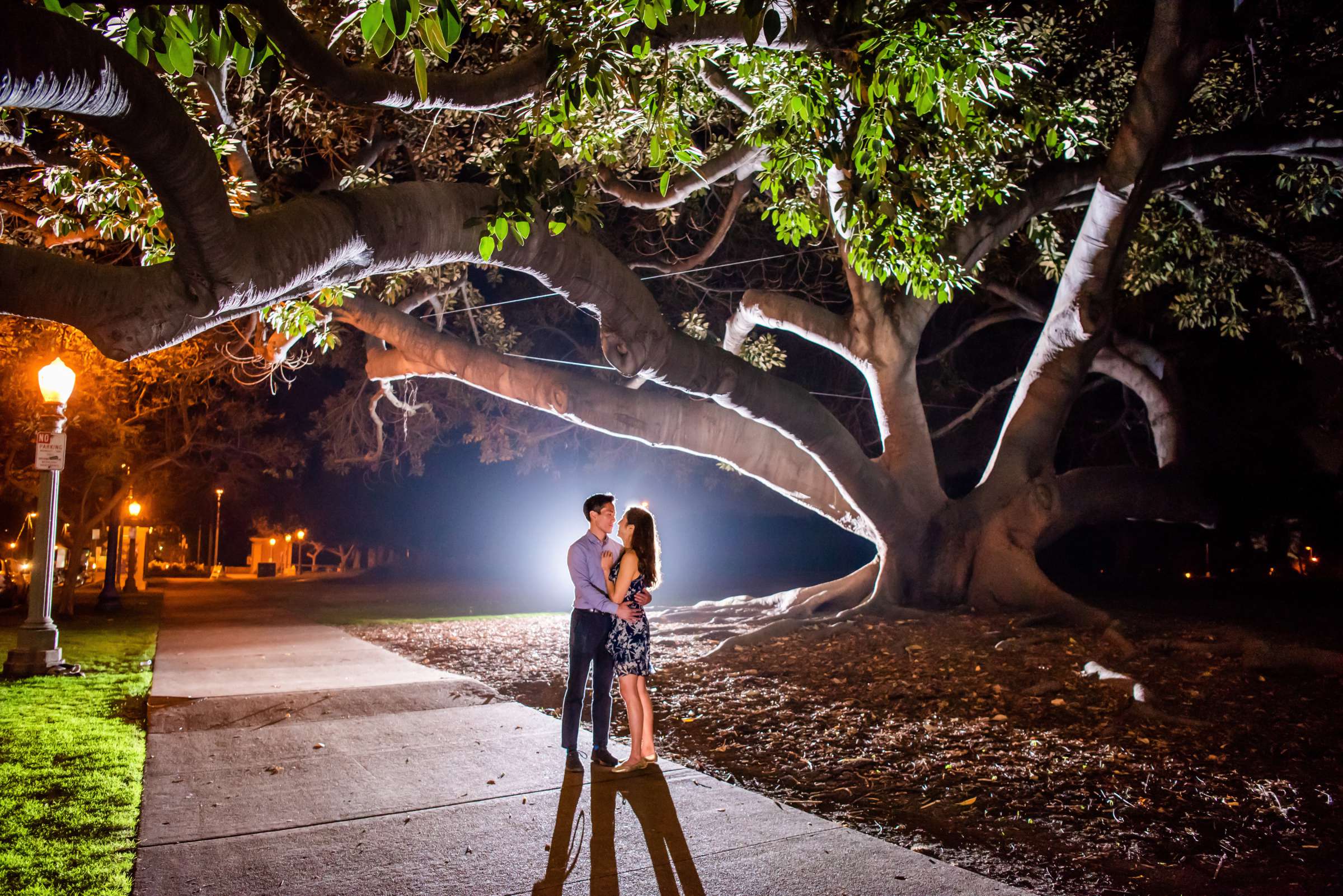 Engagement, Justin and Leslie Proposal Engagement Photo #455391 by True Photography