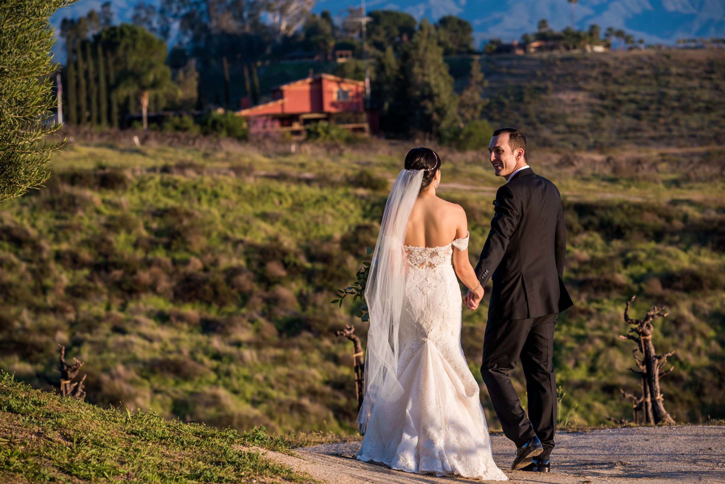Falkner Winery Wedding, Valerie and Josh Wedding Photo #120 by True Photography