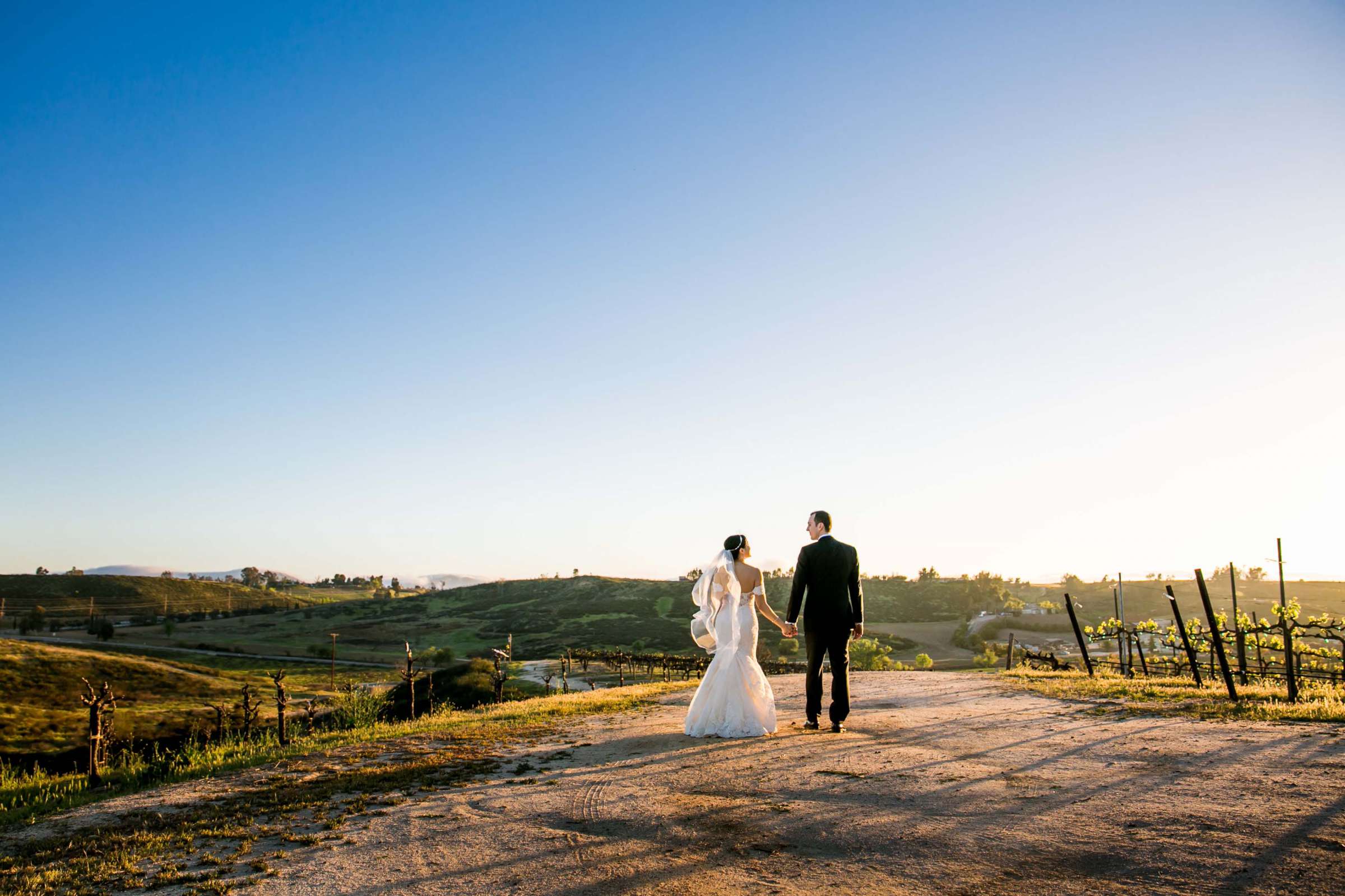 Falkner Winery Wedding, Valerie and Josh Wedding Photo #126 by True Photography