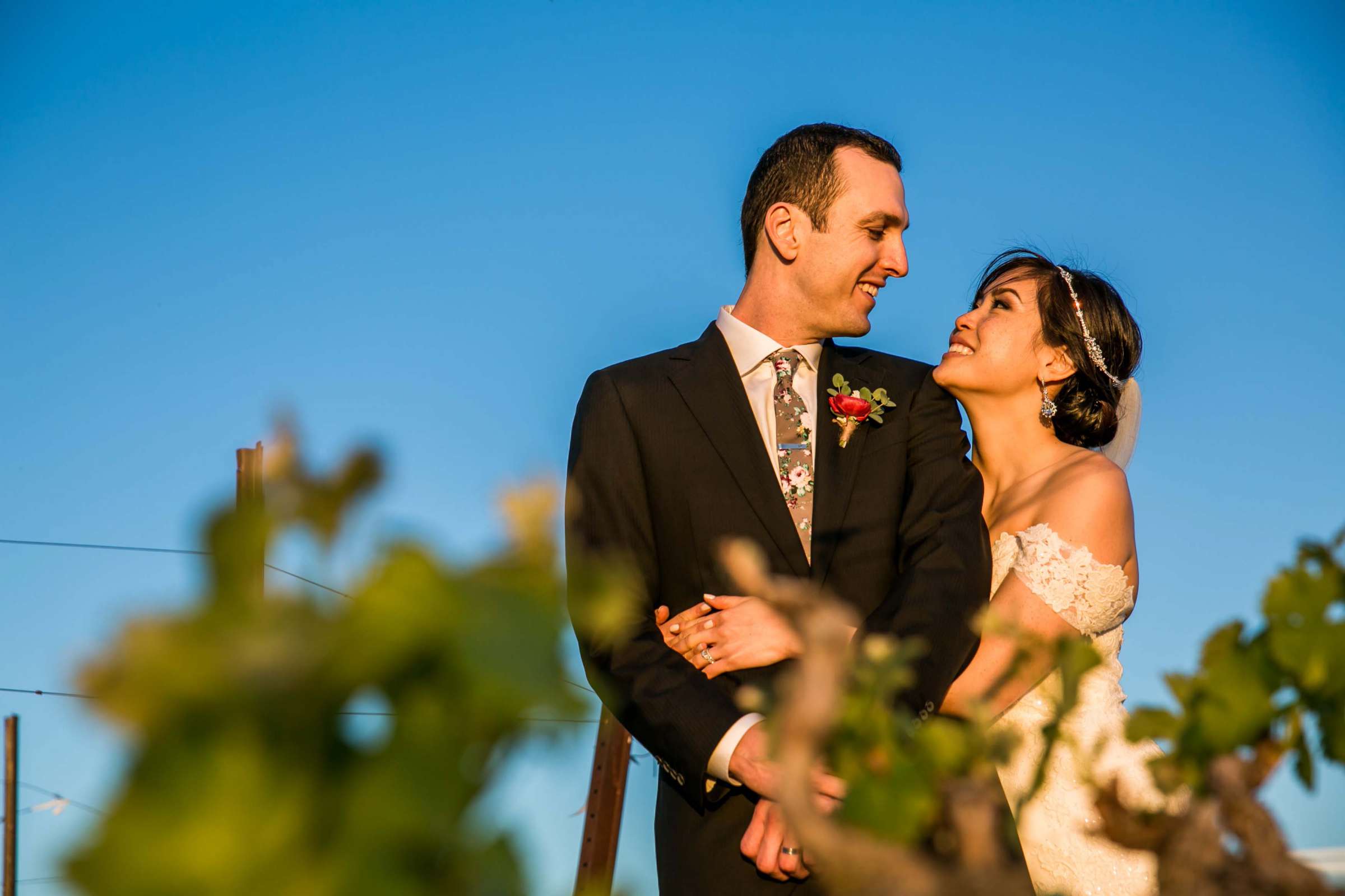 Falkner Winery Wedding, Valerie and Josh Wedding Photo #134 by True Photography