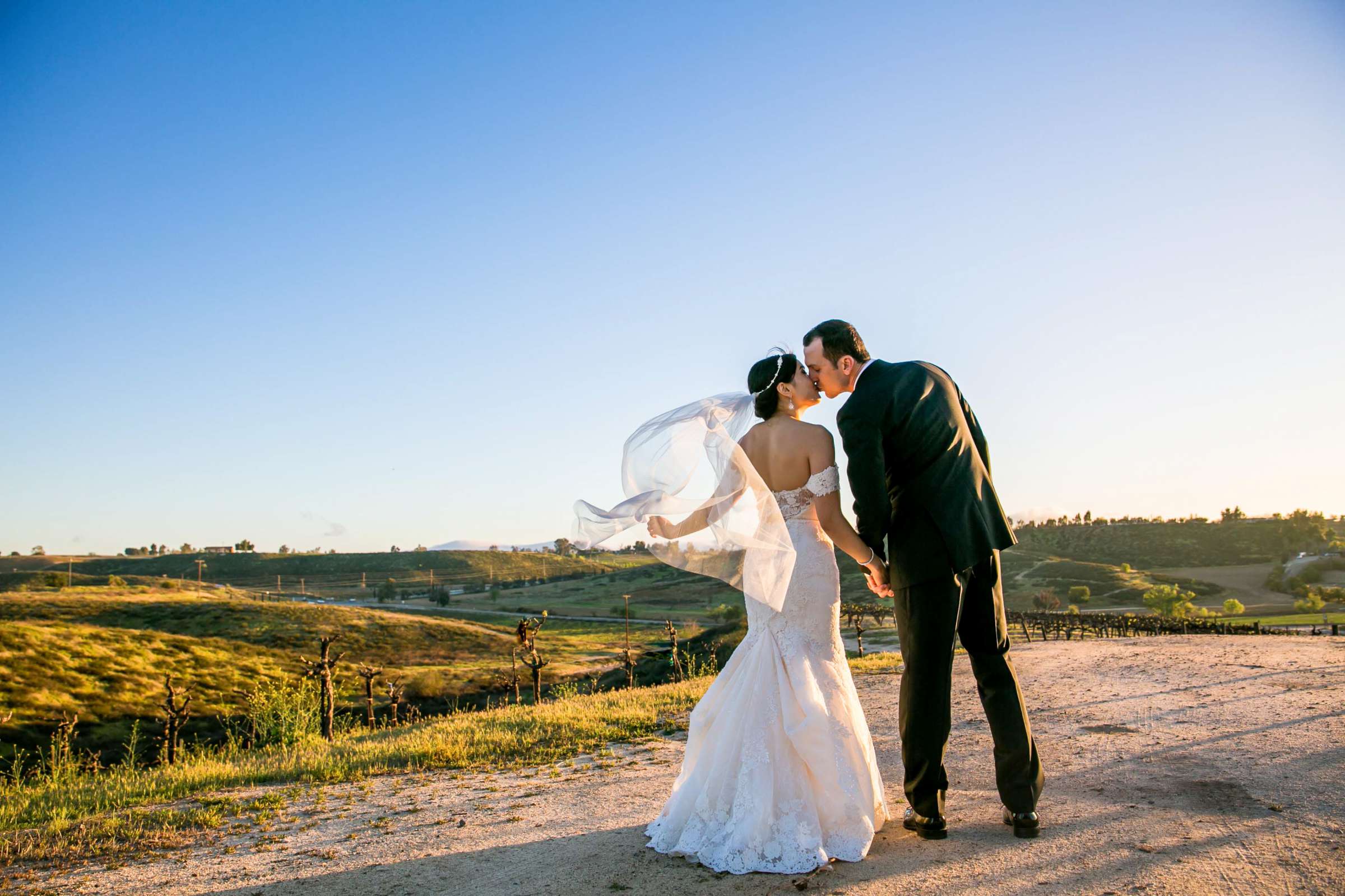 Falkner Winery Wedding, Valerie and Josh Wedding Photo #2 by True Photography