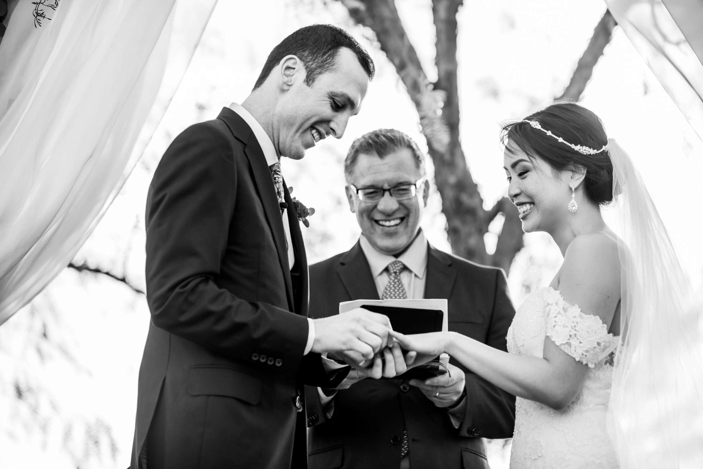 Falkner Winery Wedding, Valerie and Josh Wedding Photo #105 by True Photography