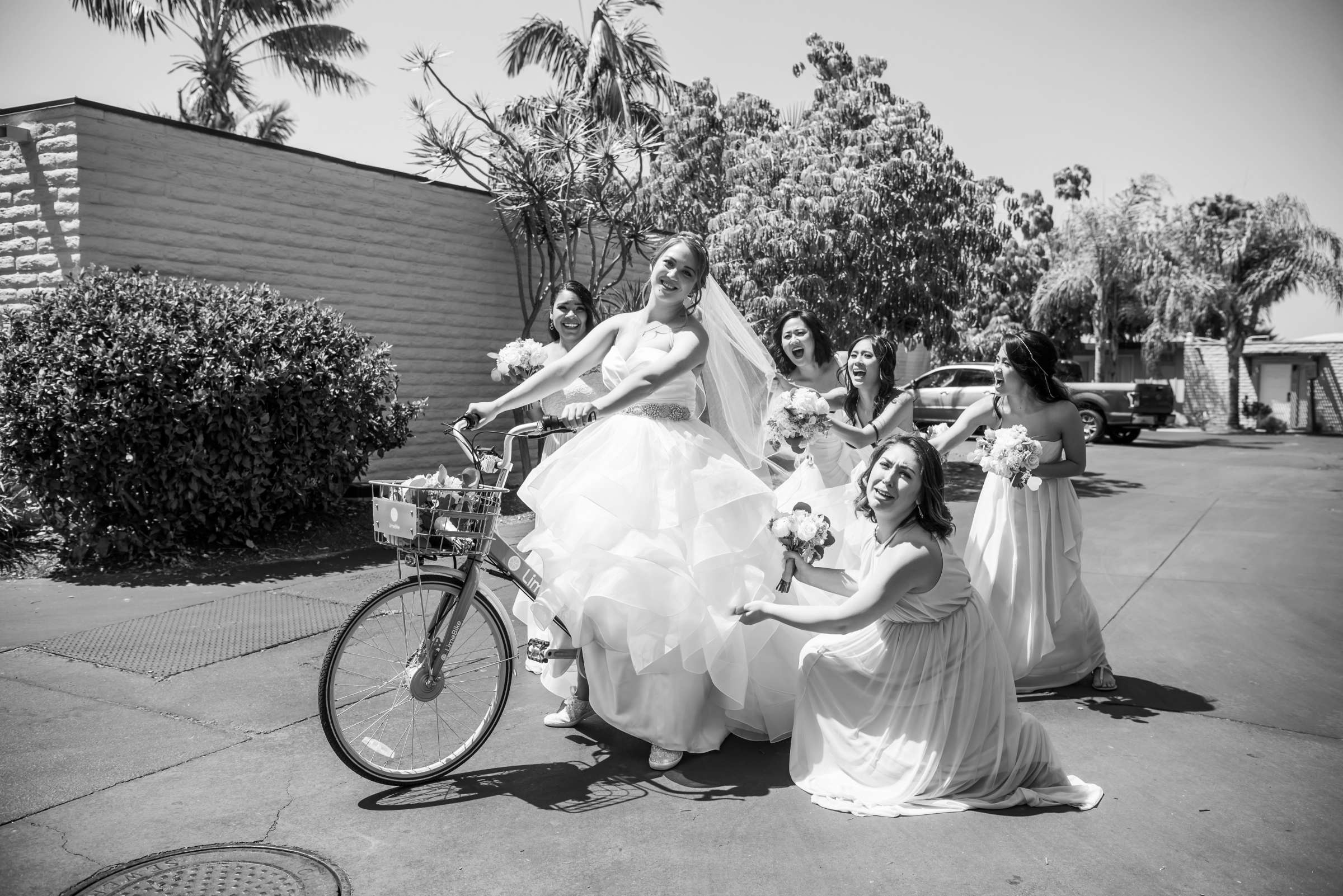 Paradise Point Wedding coordinated by Elements of Style, Sarah and Matthew Wedding Photo #459405 by True Photography