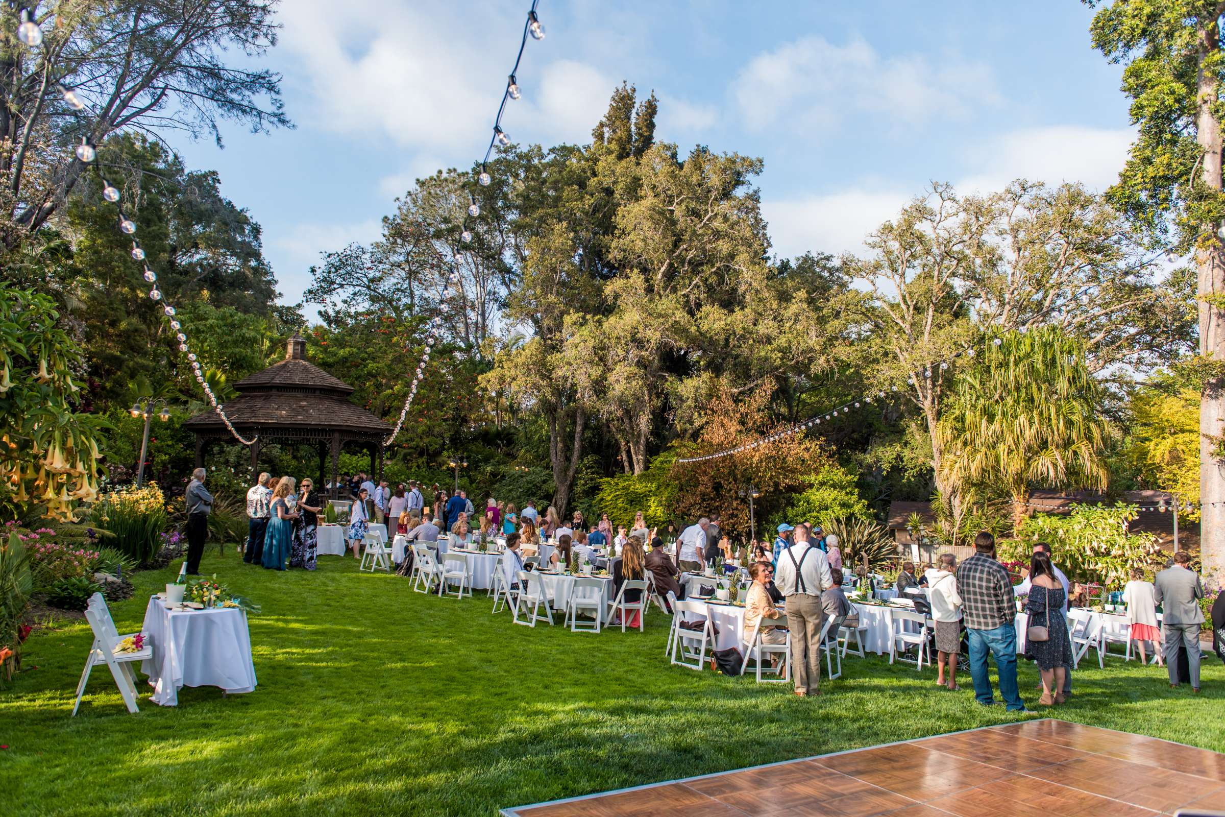 San Diego Botanic Garden Wedding, Michelle and Cameron Wedding Photo #204 by True Photography