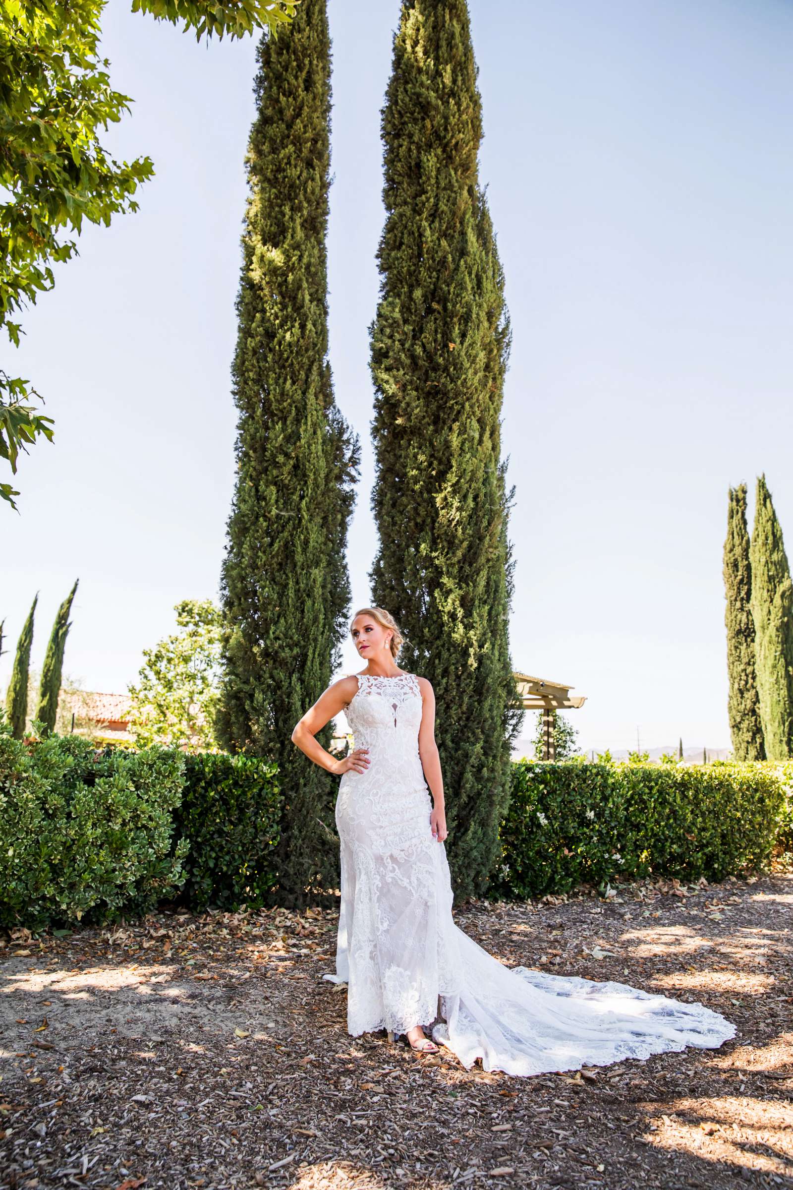 Ponte Estate Winery Wedding, Kelsey and Andrew Wedding Photo #37 by True Photography