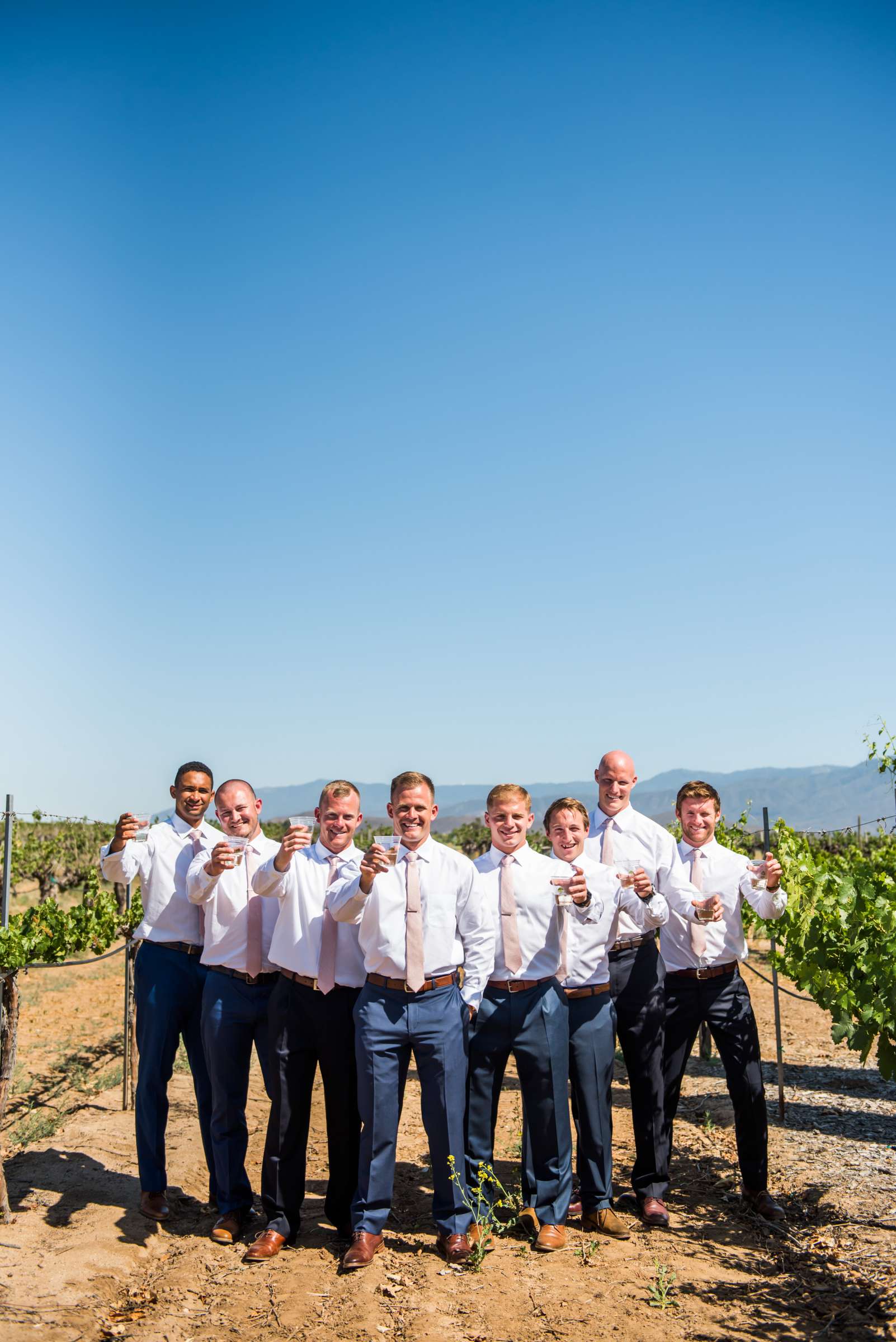 Ponte Estate Winery Wedding, Kelsey and Andrew Wedding Photo #42 by True Photography