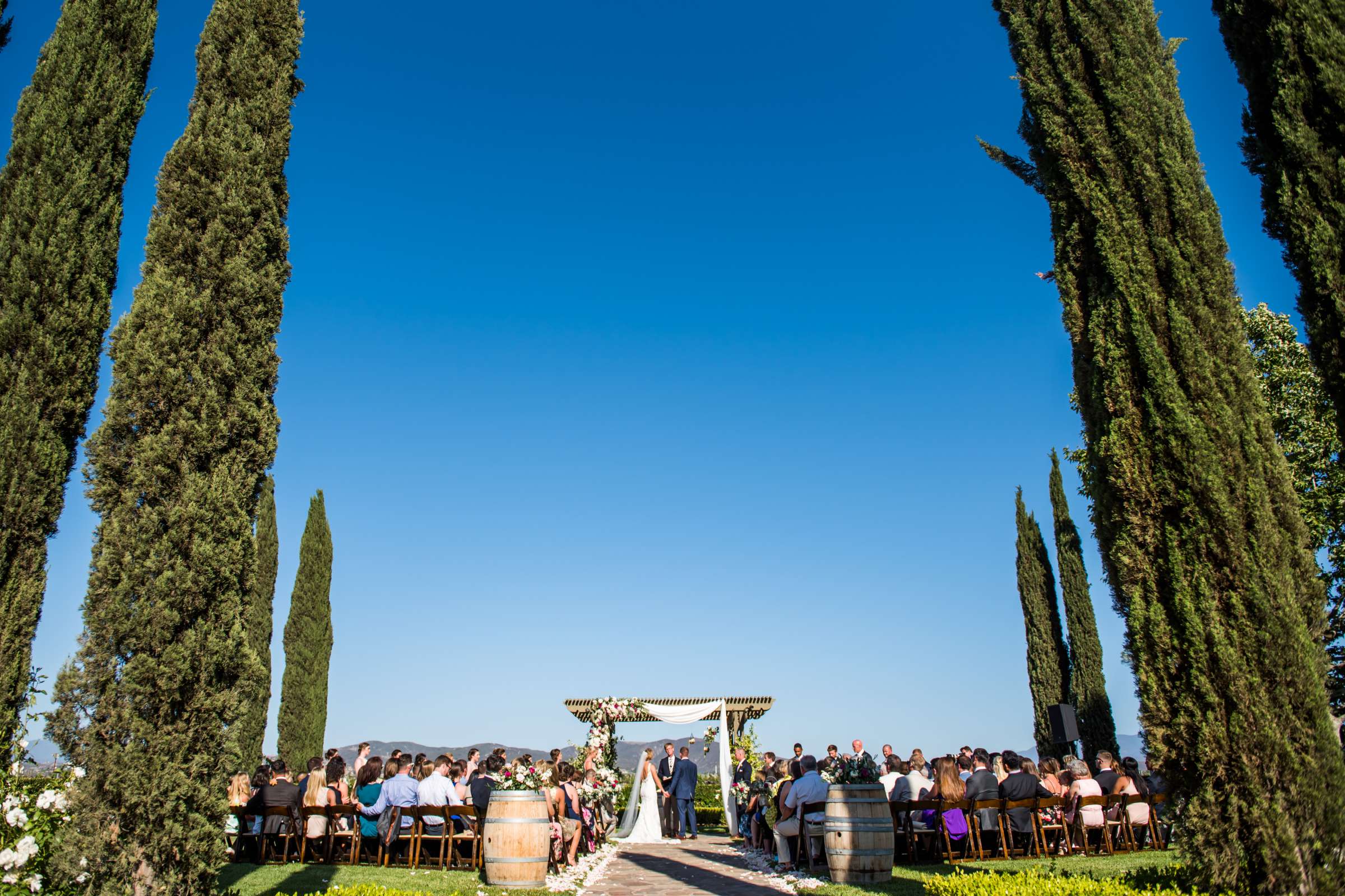 Ponte Estate Winery Wedding, Kelsey and Andrew Wedding Photo #68 by True Photography