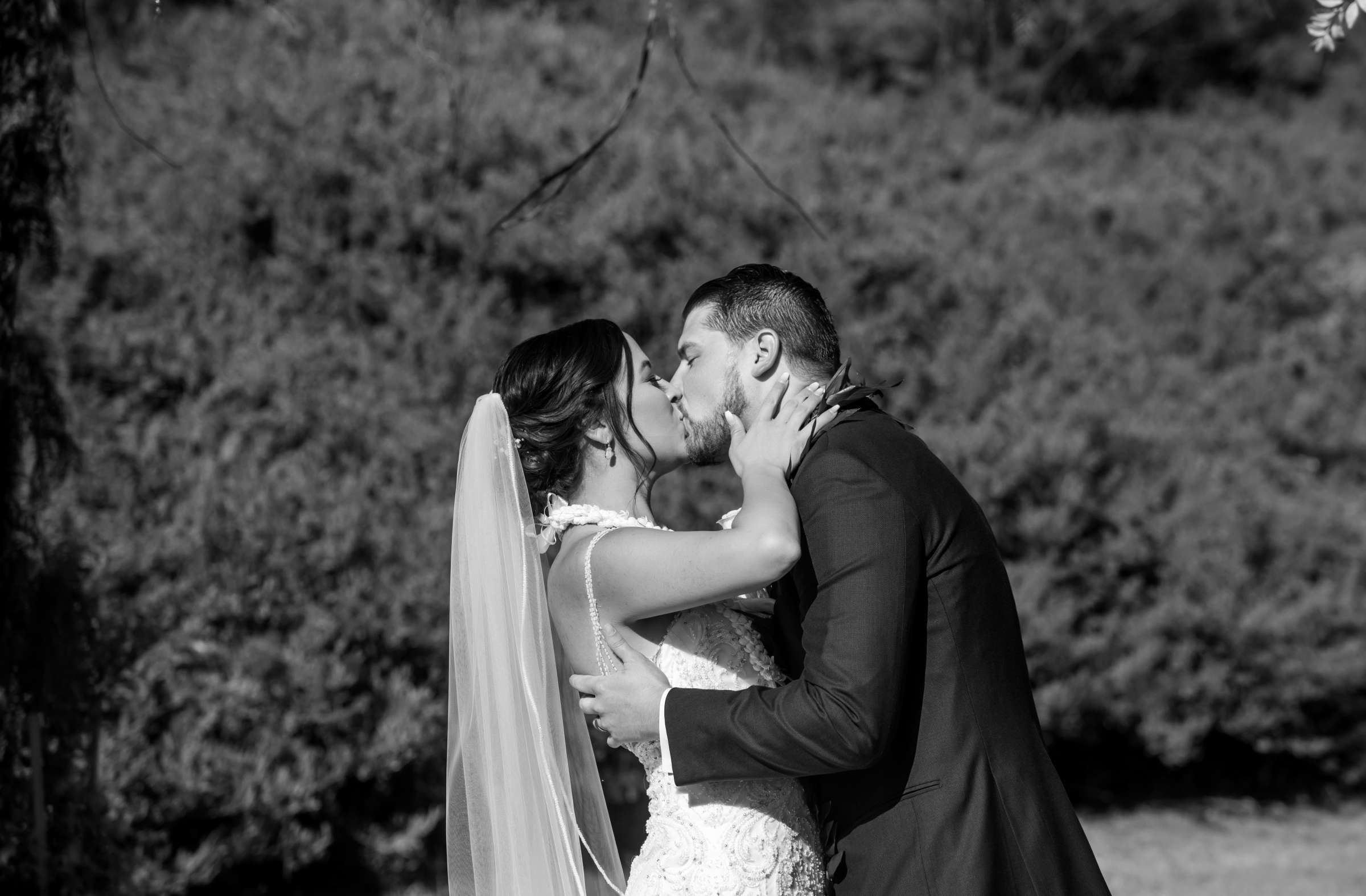 Ethereal Gardens Wedding, Caitlin and Brake Wedding Photo #81 by True Photography