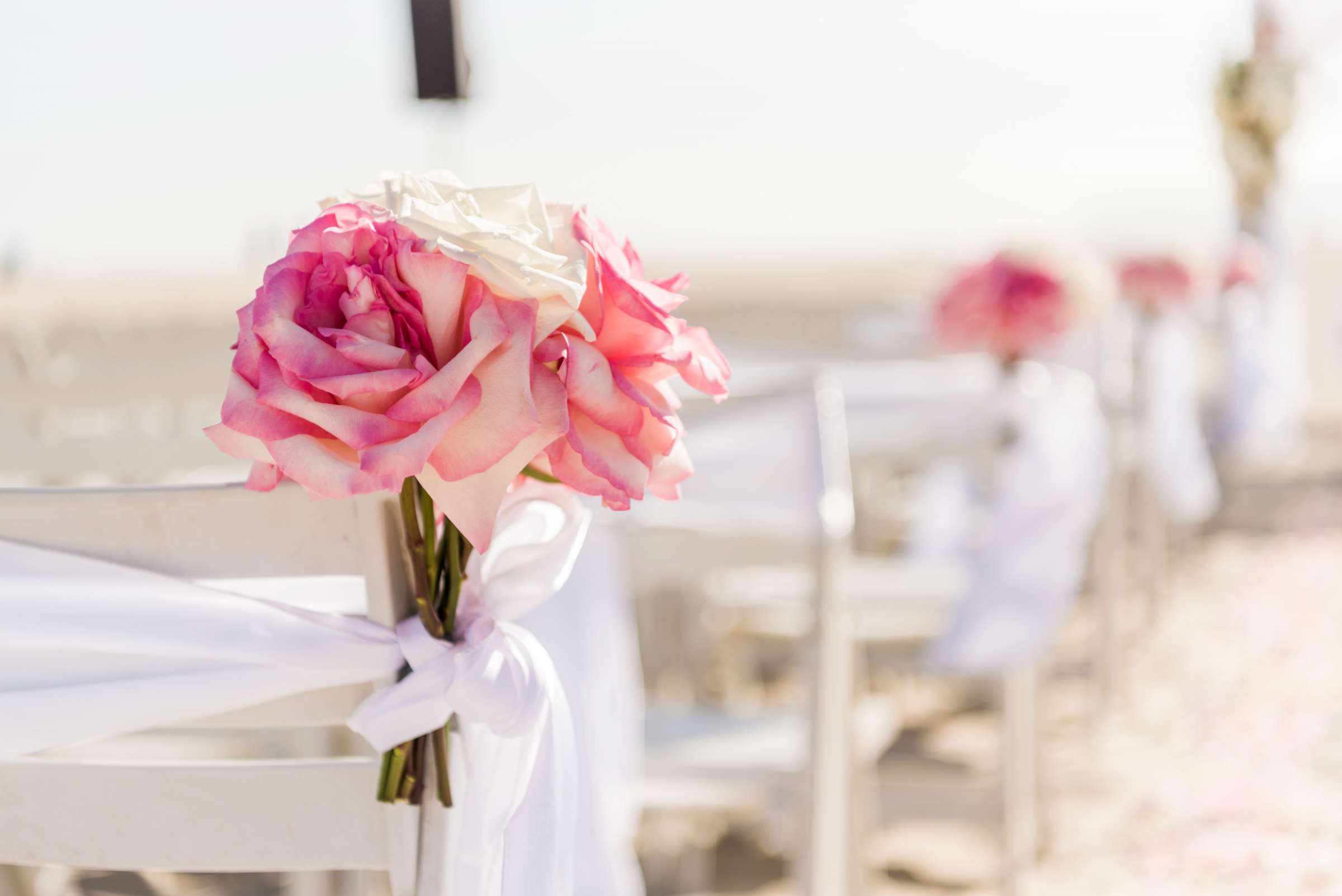 Hotel Del Coronado Wedding coordinated by Bliss Events, Ashley and Tucker Wedding Photo #150 by True Photography