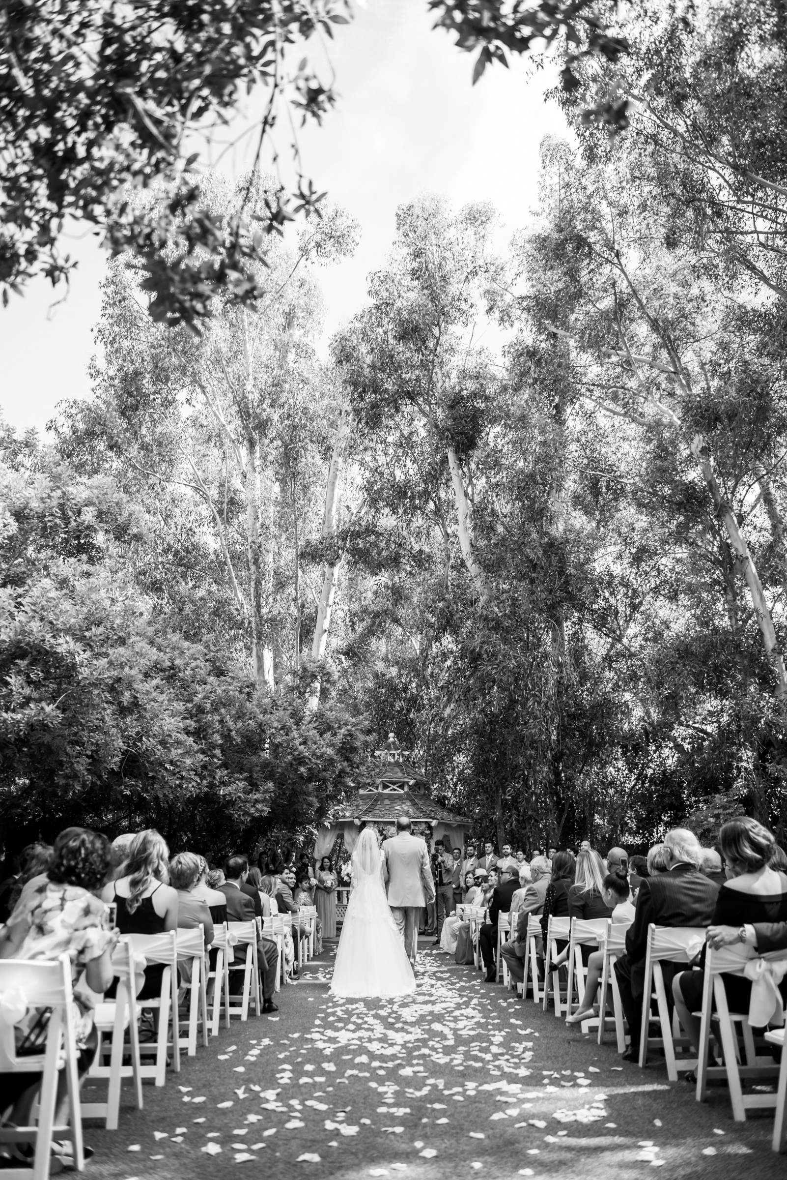 Ceremony at Twin Oaks House & Gardens Wedding Estate Wedding, Anna and Jacob Wedding Photo #80 by True Photography