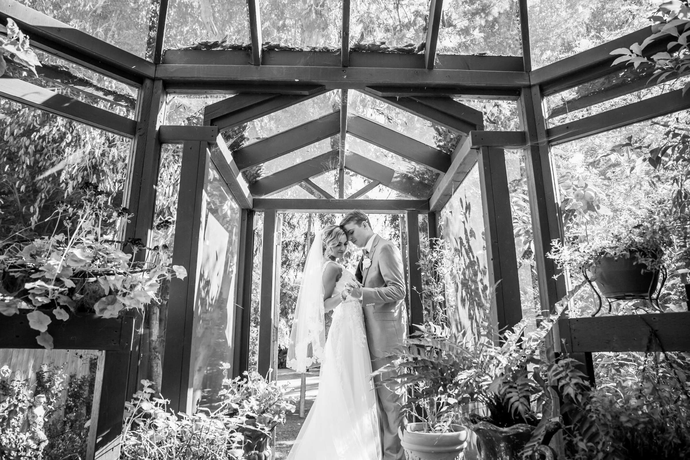 Black and White photo at Twin Oaks House & Gardens Wedding Estate Wedding, Anna and Jacob Wedding Photo #100 by True Photography