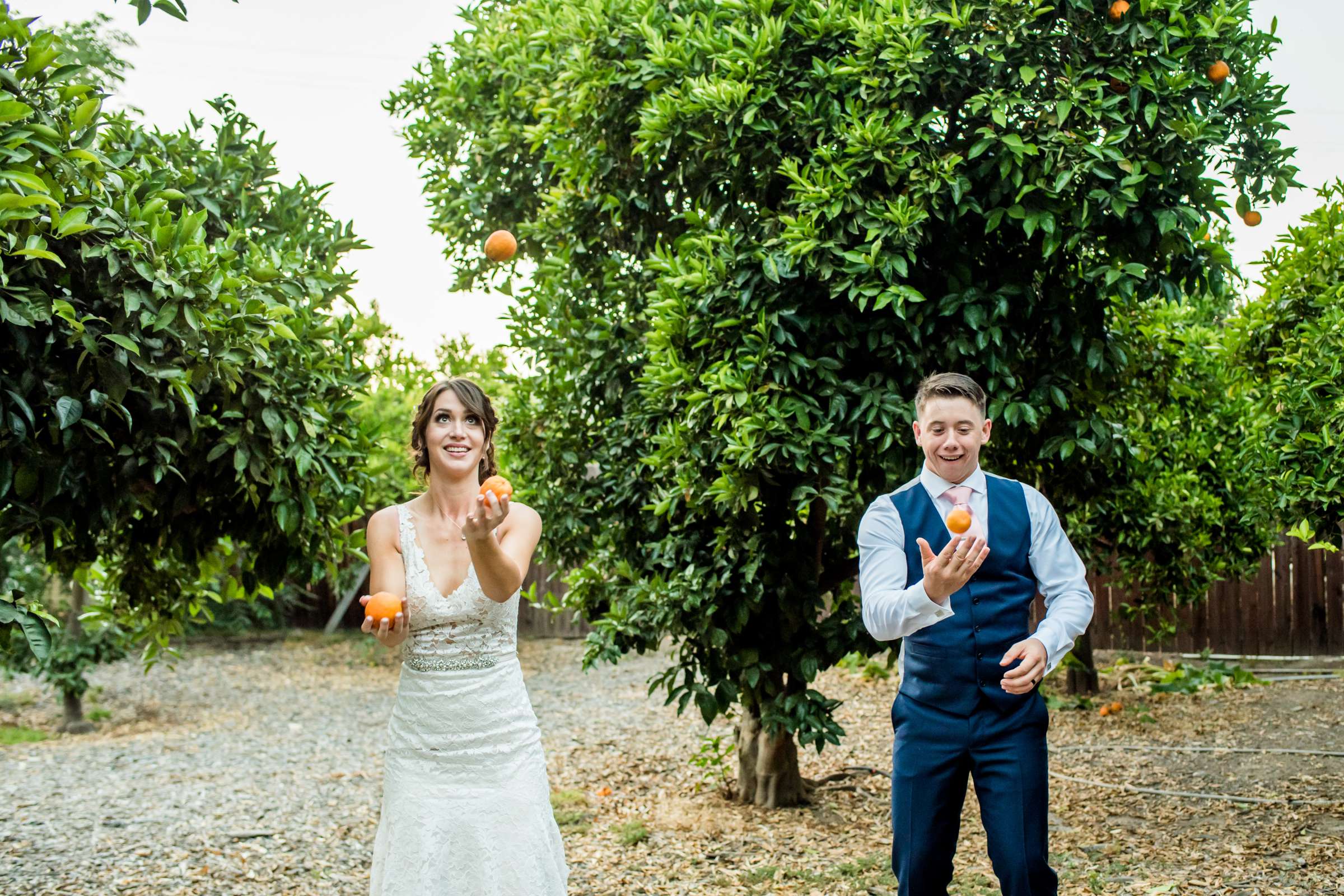 Twin Oaks House & Gardens Wedding Estate Wedding, Katie and Wade Wedding Photo #17 by True Photography