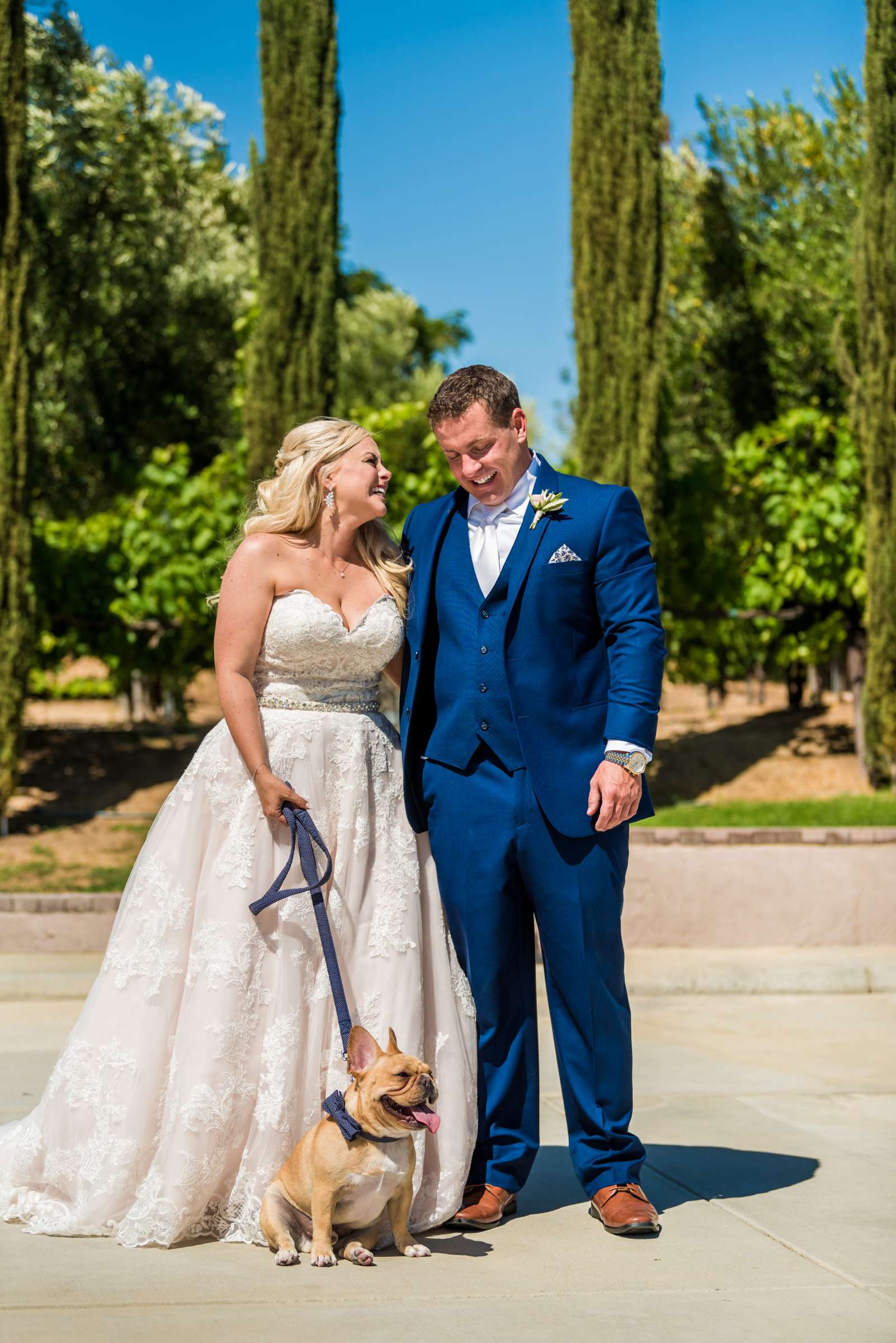Mount Palomar Winery Wedding, Meg and Eric Wedding Photo #477447 by True Photography