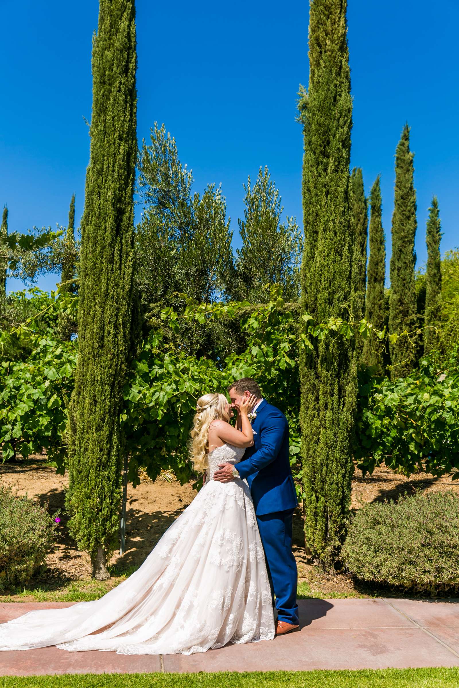 Mount Palomar Winery Wedding, Meg and Eric Wedding Photo #477474 by True Photography