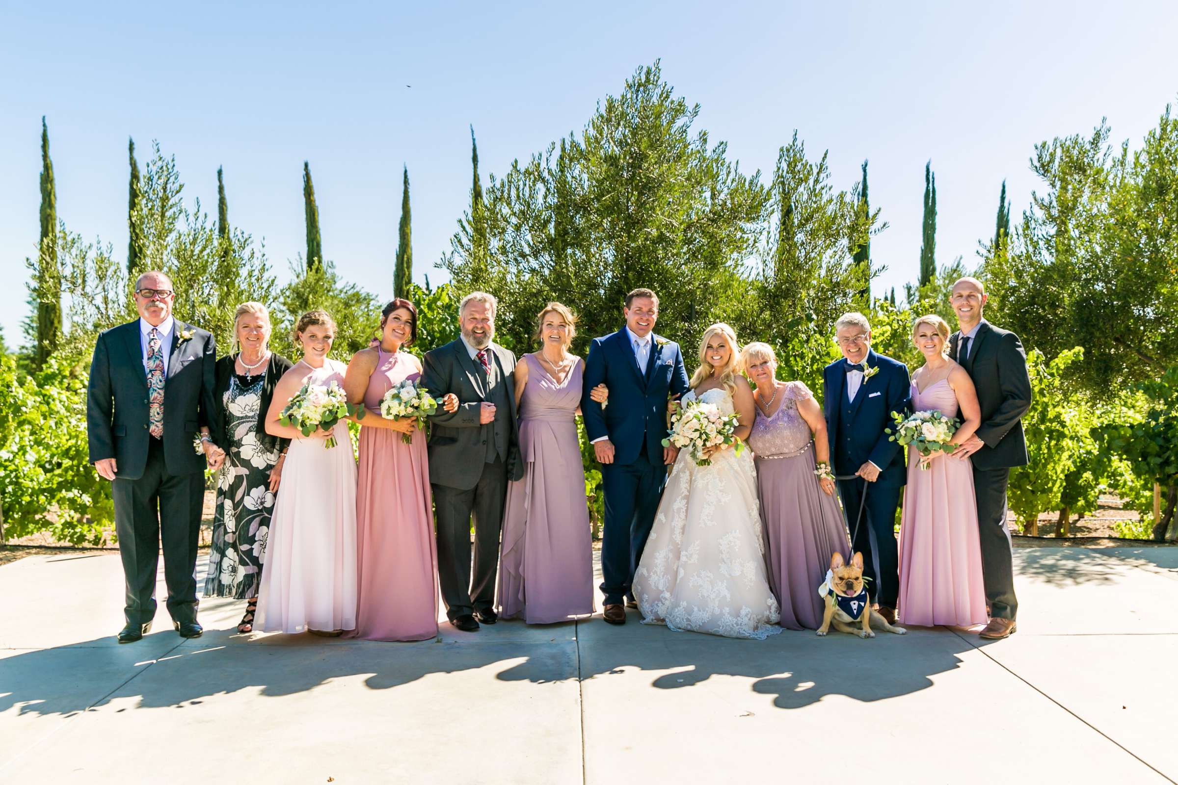 Mount Palomar Winery Wedding, Meg and Eric Wedding Photo #477475 by True Photography
