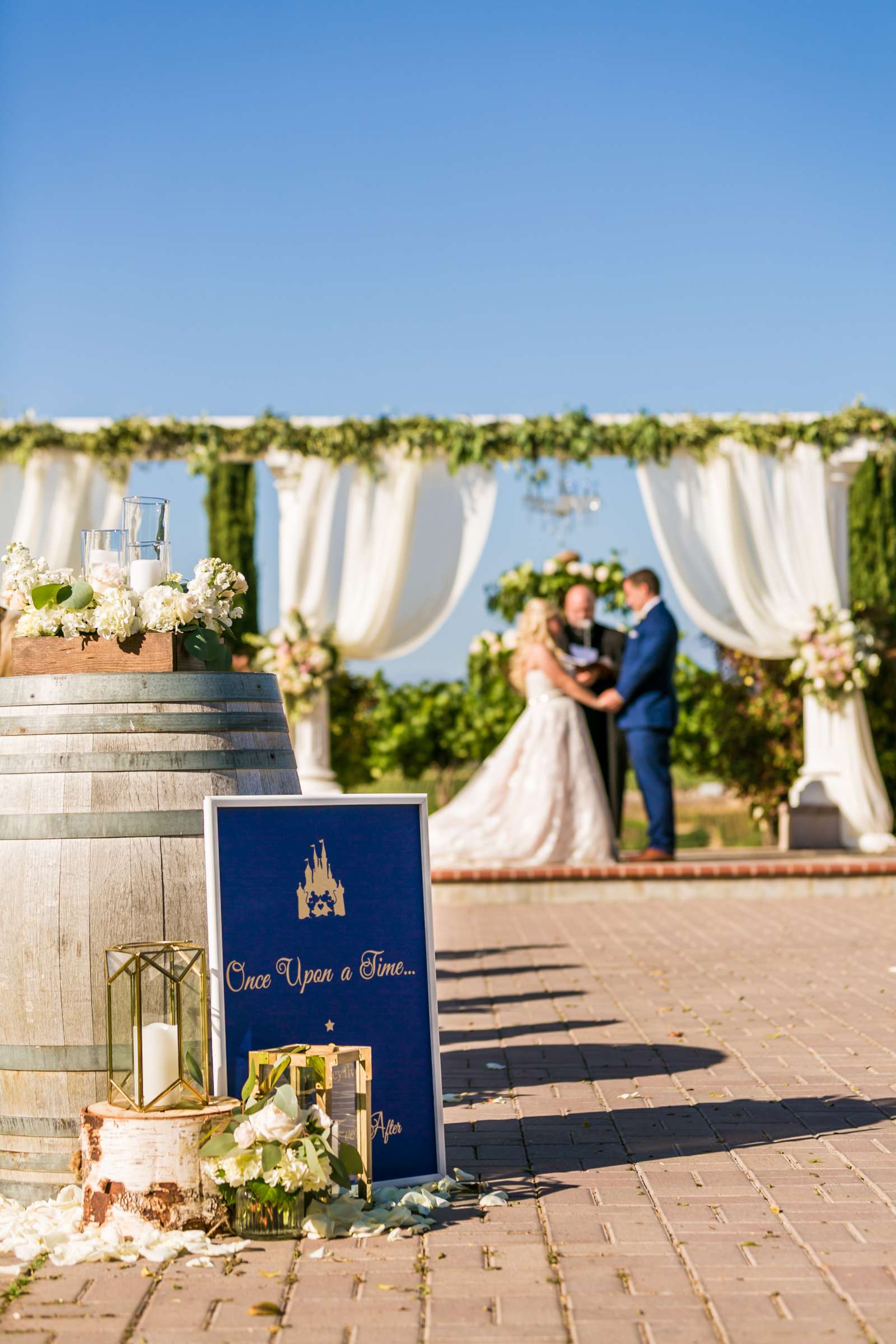 Mount Palomar Winery Wedding, Meg and Eric Wedding Photo #477487 by True Photography