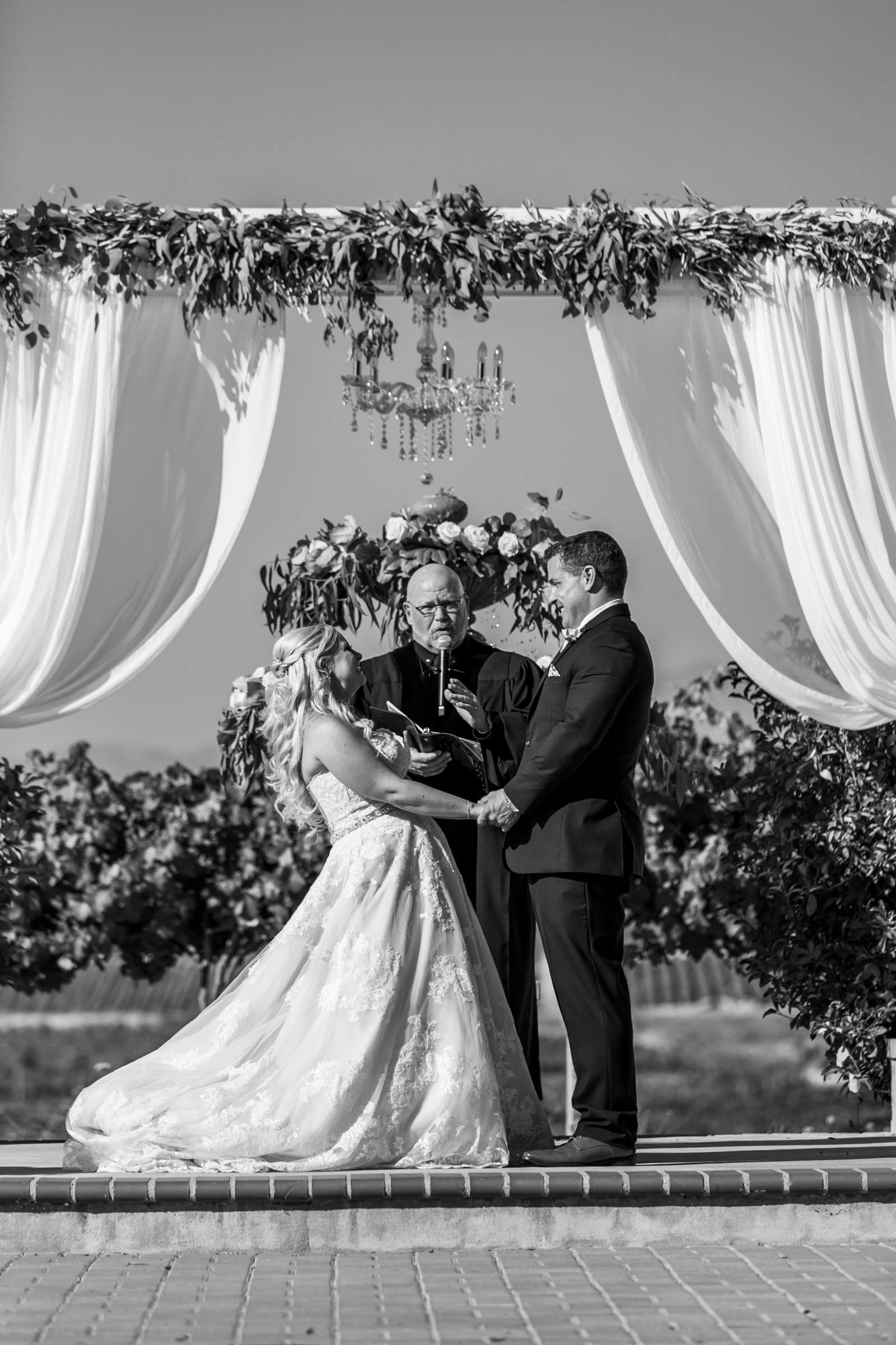 Mount Palomar Winery Wedding, Meg and Eric Wedding Photo #477488 by True Photography